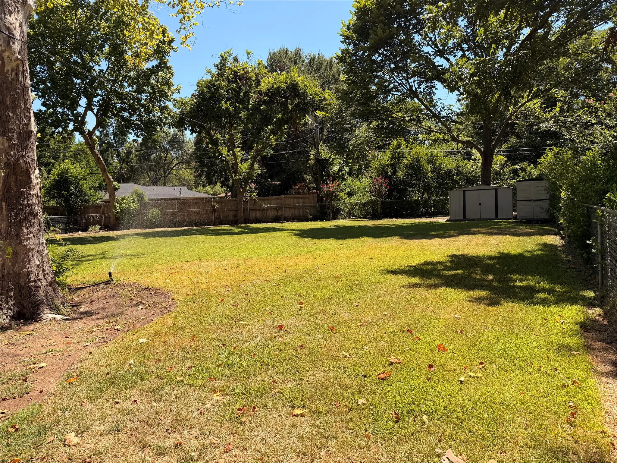 Expansive green space featuring a large tree, perimeter fencing, and two storage sheds
