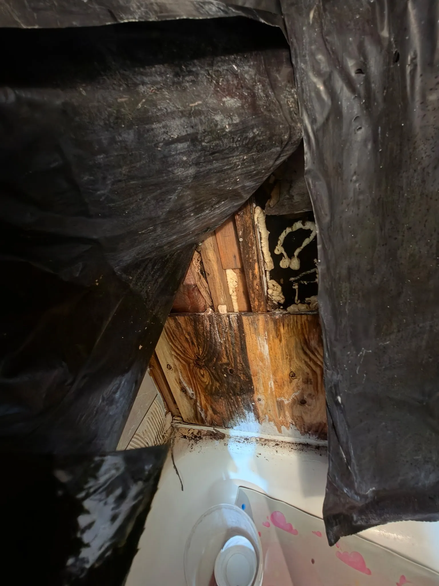 hall bathroom shower with missing tiles & water damage