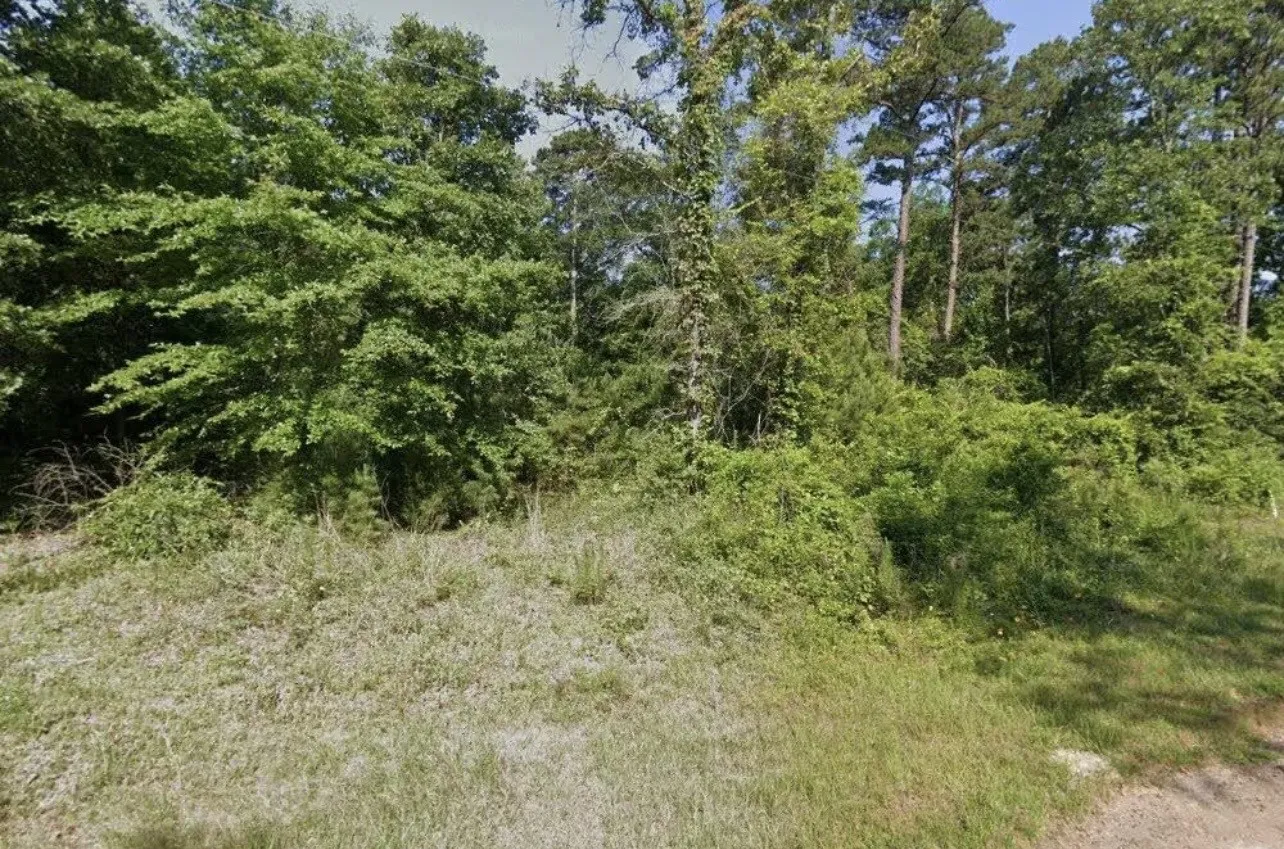 Unimproved Land For Sale in Upshur County , 7142 Beaverwood, Gilmer, Texas 75644, 0, 0, Garage spaces, 0 Sqft, built in 0, Price $25,000, mls#21354693, Real Estate Agent in Gilmer, Homes For Sale in Upshur county, Homes For Sale in Gilmer, Realtor in Gilmer Texas, Real Estate Brokerage Independent Realty Texas, Luminita Cordes Realtor