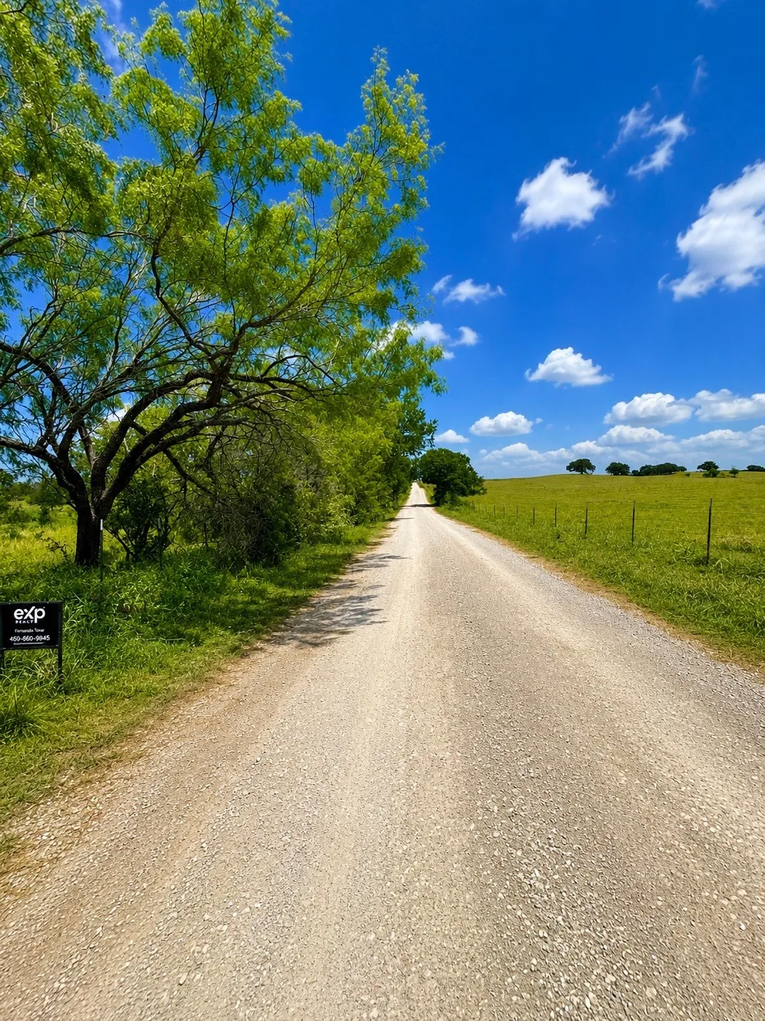 Gravel road bordered by verdant trees and open grassy fields under a clear blue sky
