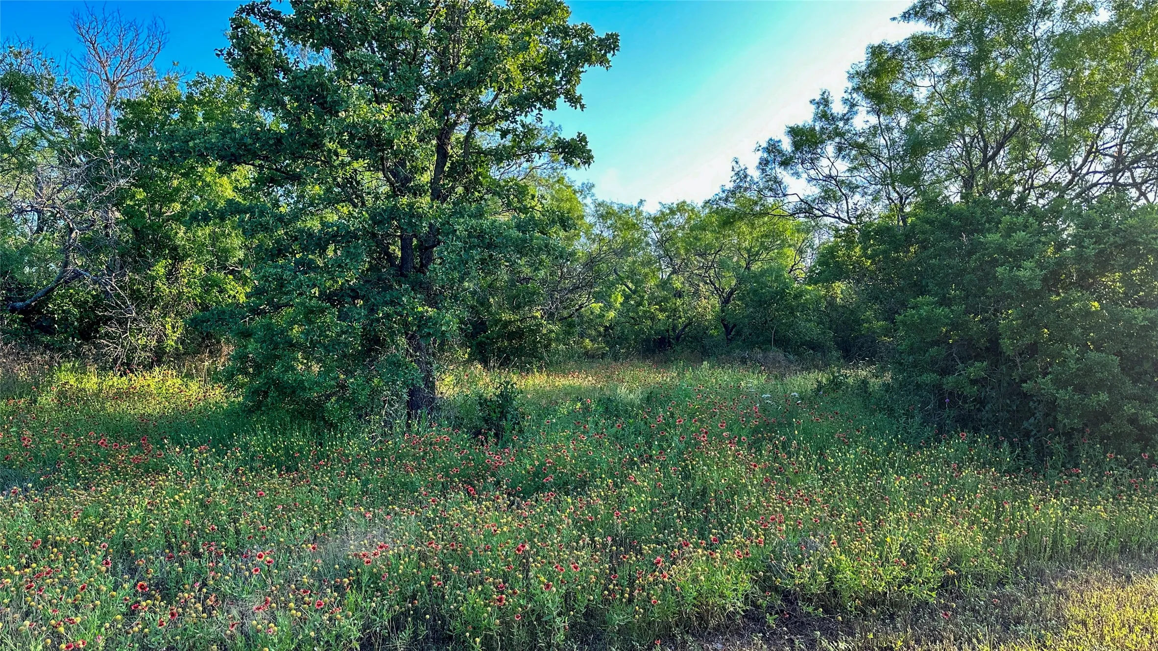 Single Family Residence For Sale in Eastland County , 2417 HWY 569 Highway S 1, Cisco, Texas 76437, 3 Bedroom, 2 Bathroom, Garage spaces, 1,815 Sqft, built in 1997, mls#21354716, Real Estate Agent in Cisco, Homes For Sale in Eastland county, Homes For Sale in Cisco, Realtor in Cisco Texas, Real Estate Brokerage Independent Realty Texas, Luminita Cordes Realtor