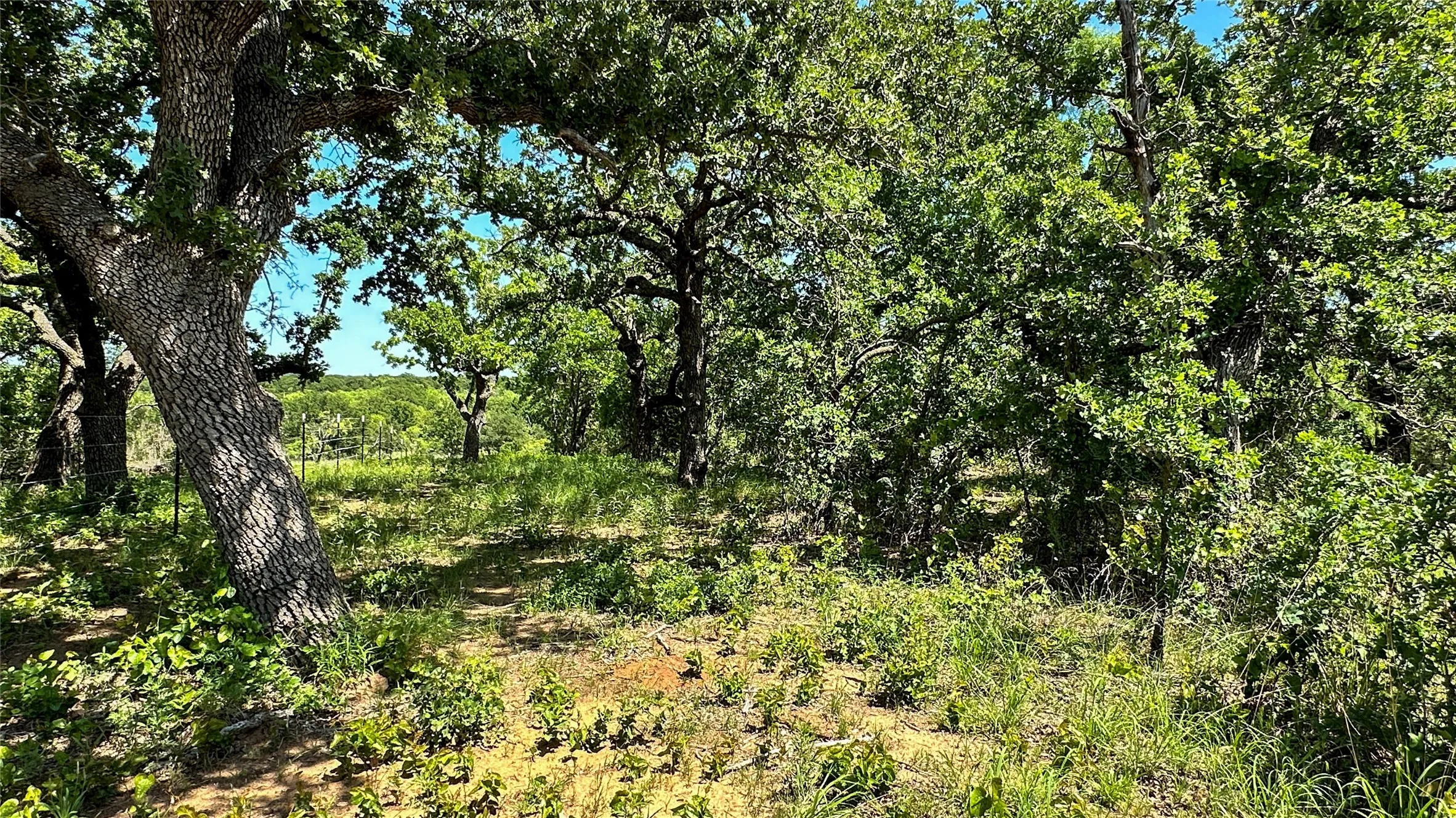 Single Family Residence For Sale in Eastland County , 2417 HWY 569 Highway S 1, Cisco, Texas 76437, 3 Bedroom, 2 Bathroom, Garage spaces, 1,815 Sqft, built in 1997, mls#21354716, Real Estate Agent in Cisco, Homes For Sale in Eastland county, Homes For Sale in Cisco, Realtor in Cisco Texas, Real Estate Brokerage Independent Realty Texas, Luminita Cordes Realtor