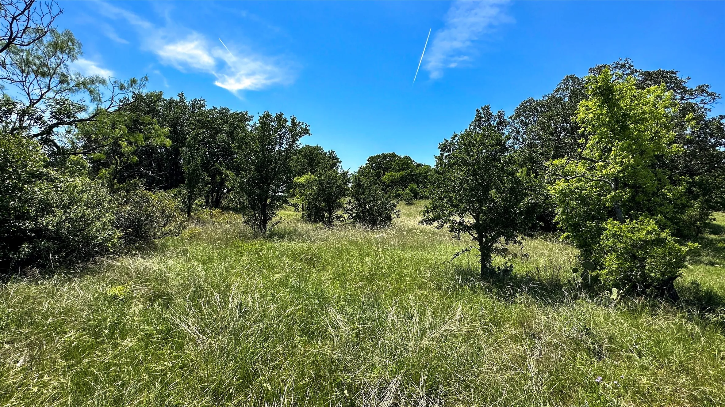 Single Family Residence For Sale in Eastland County , 2417 HWY 569 Highway S 1, Cisco, Texas 76437, 3 Bedroom, 2 Bathroom, Garage spaces, 1,815 Sqft, built in 1997, mls#21354716, Real Estate Agent in Cisco, Homes For Sale in Eastland county, Homes For Sale in Cisco, Realtor in Cisco Texas, Real Estate Brokerage Independent Realty Texas, Luminita Cordes Realtor