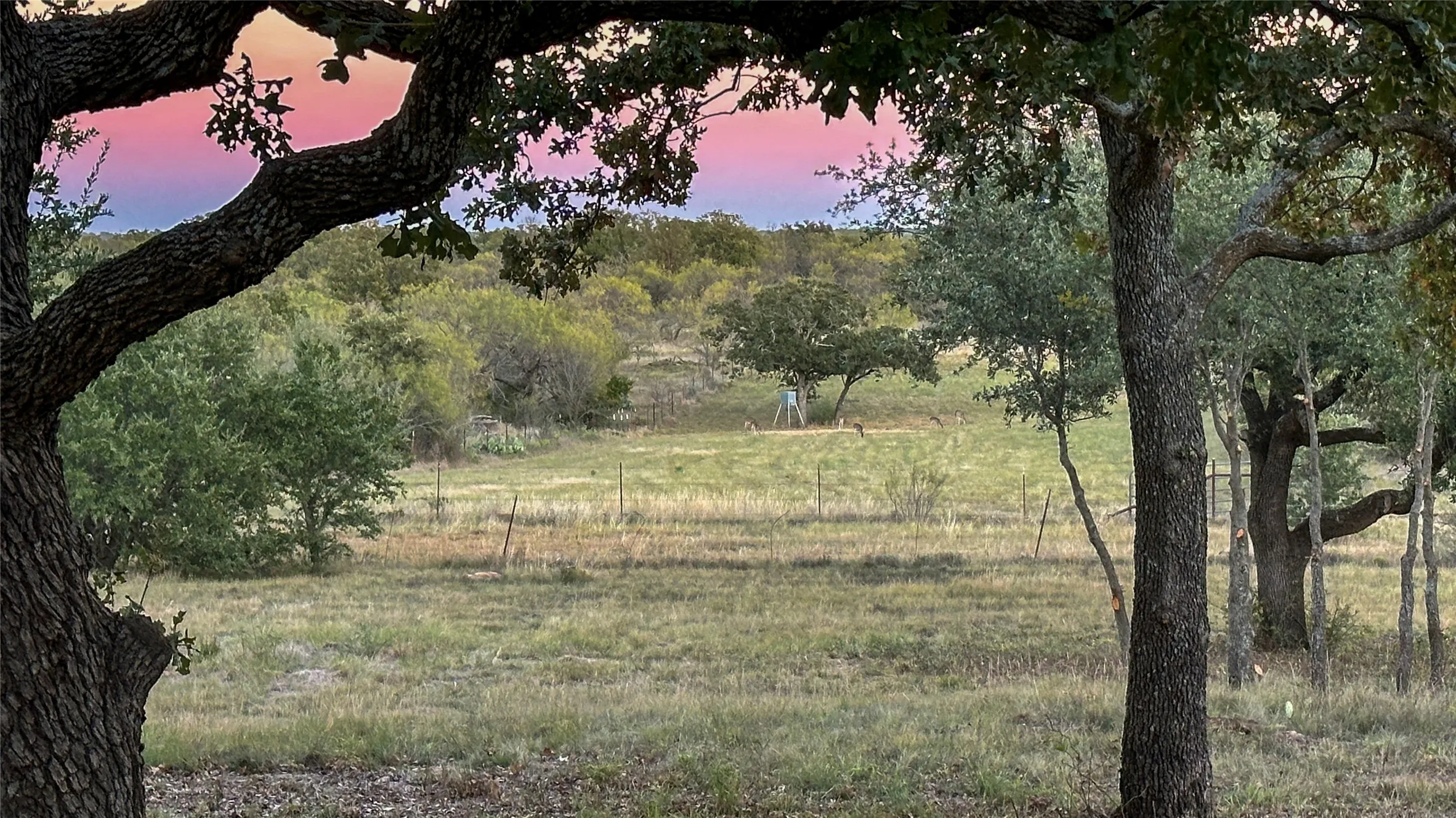 Single Family Residence For Sale in Eastland County , 2417 HWY 569 Highway S 1, Cisco, Texas 76437, 3 Bedroom, 2 Bathroom, Garage spaces, 1,815 Sqft, built in 1997, mls#21354716, Real Estate Agent in Cisco, Homes For Sale in Eastland county, Homes For Sale in Cisco, Realtor in Cisco Texas, Real Estate Brokerage Independent Realty Texas, Luminita Cordes Realtor