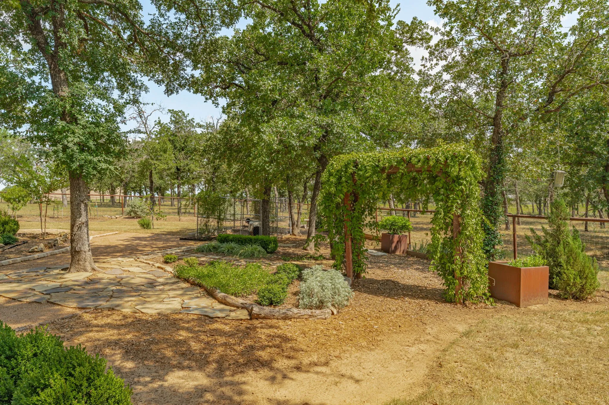 Vine covered archway, garden and walking paths