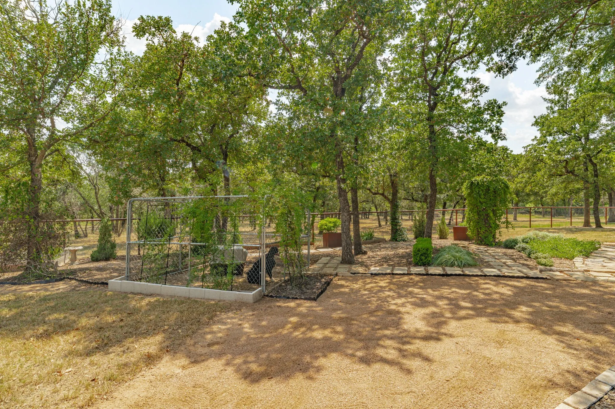 Shaded dog kennel. Garden path