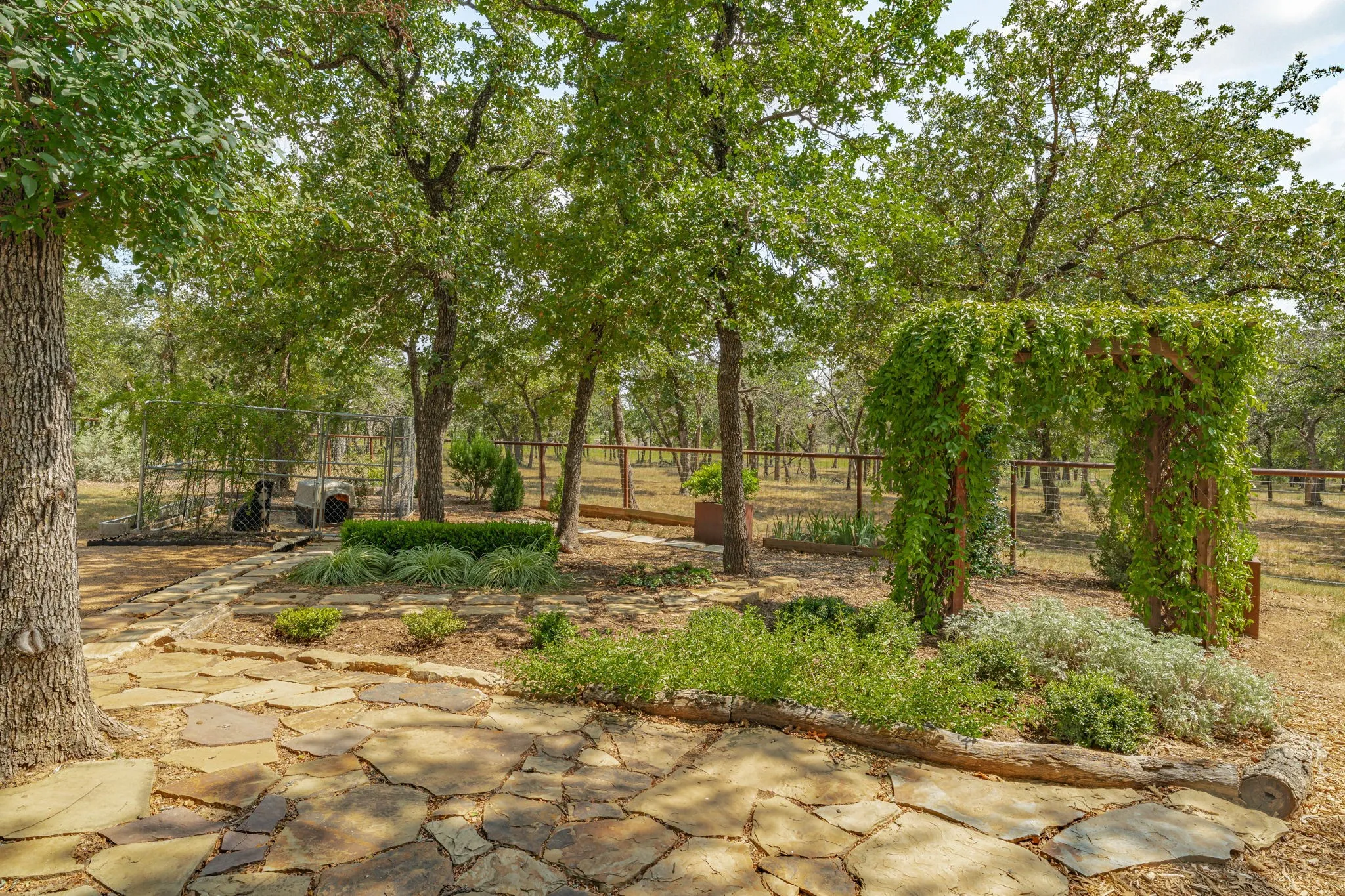 Shaded dog kennel, slate walking path