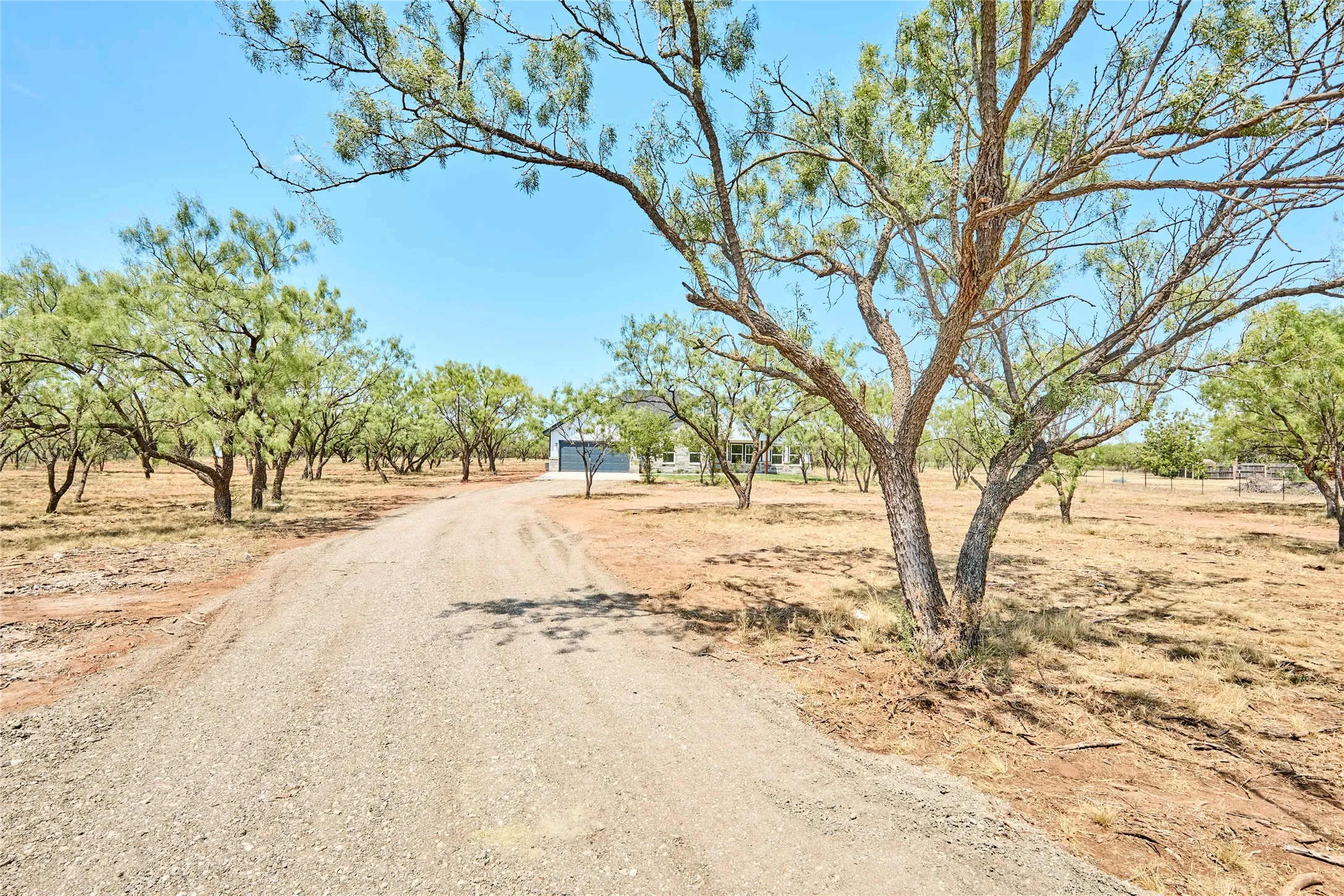 Gravel driveway leading to the property, surrounded by mature trees and natural landscaping