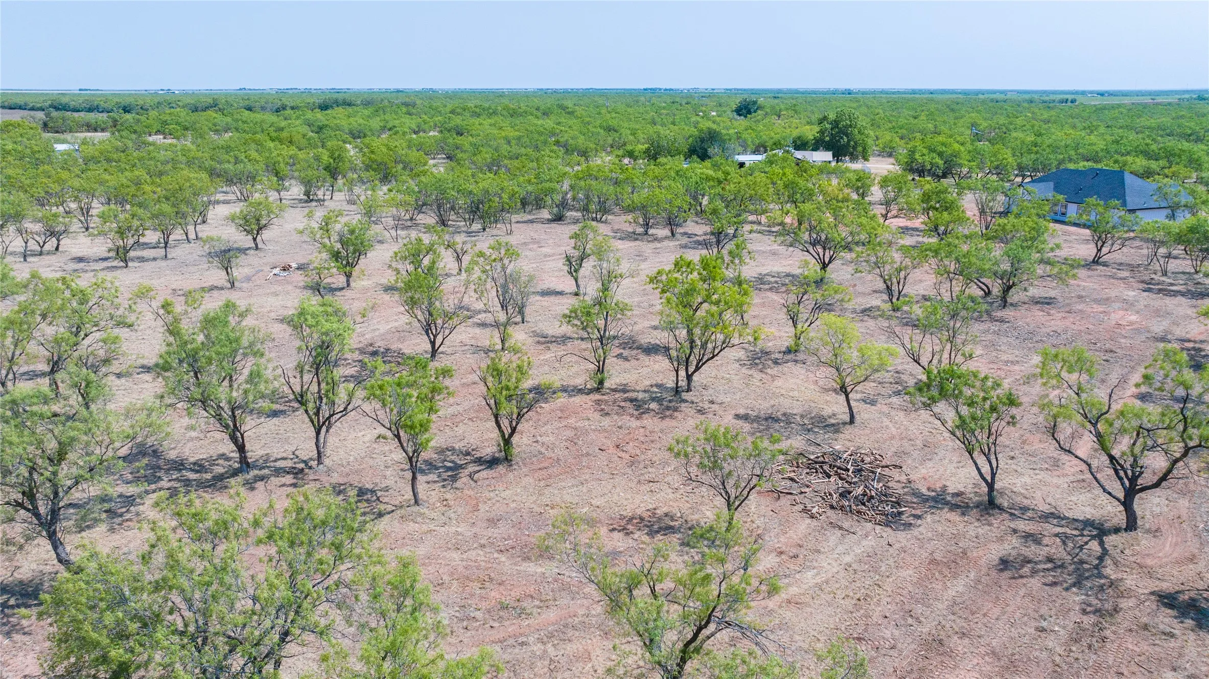 Expansive land featuring numerous trees and distant structures