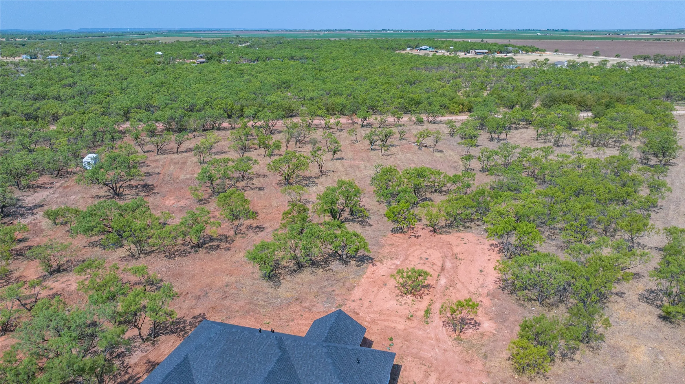 Expansive property featuring abundant mature trees and natural landscaping