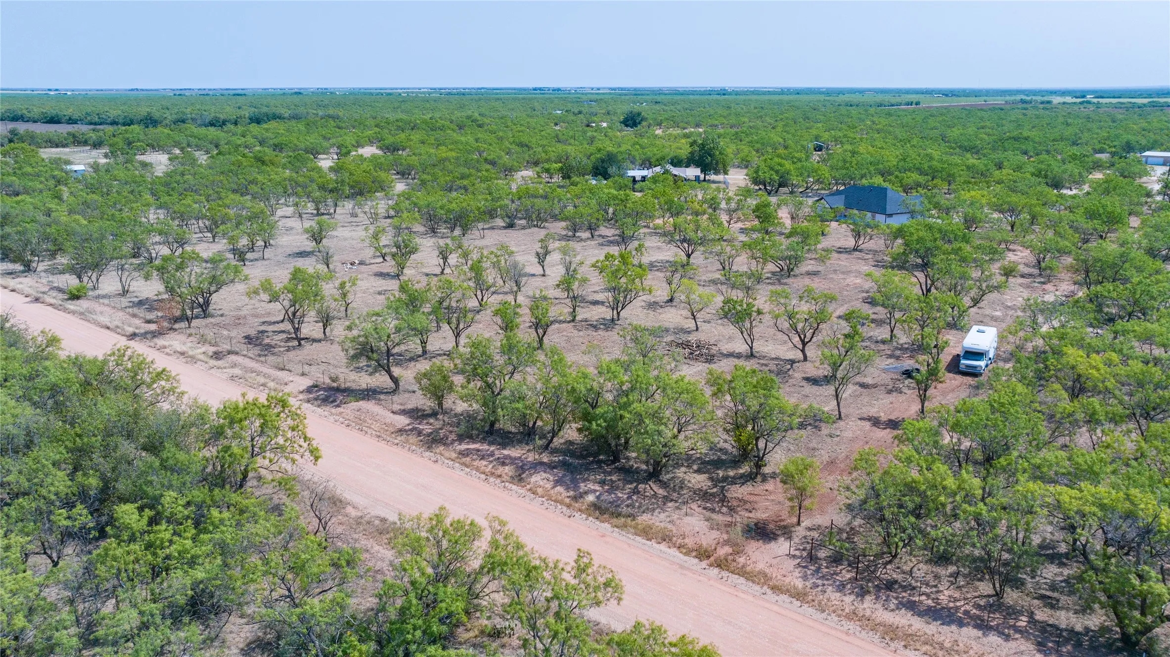 Expansive rural lot featuring a dirt road and numerous mature trees