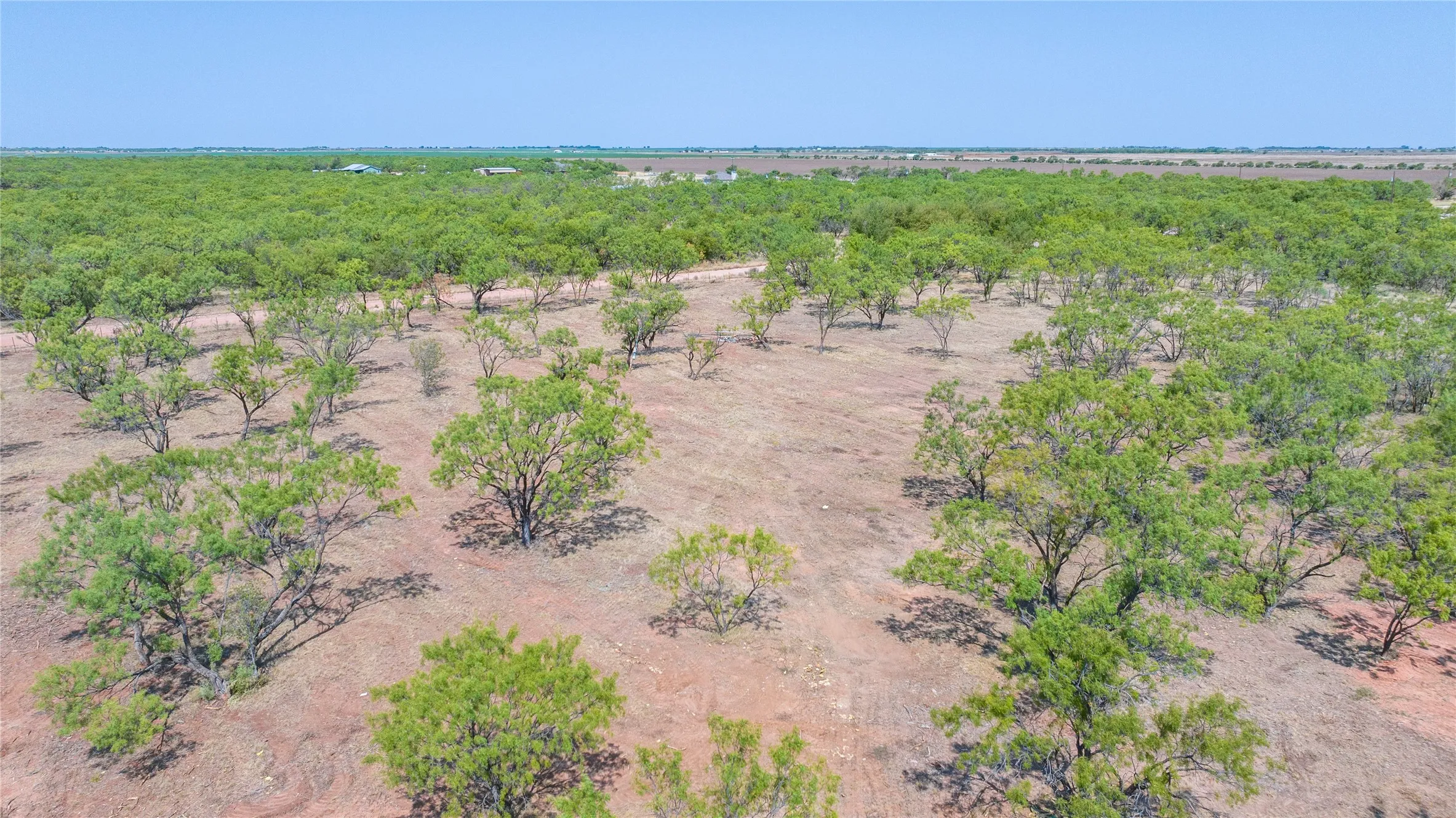 Single Family Residence For Sale in Jones County , 17147 County Road 496, Merkel, Texas 79536, 4 Bedroom, 2 Bathroom, 2 Garage spaces, 1,700 Sqft, built in 2026, mls#21353418, Real Estate Agent in Merkel, Homes For Sale in Jones county, Homes For Sale in Merkel, Realtor in Merkel Texas, Real Estate Brokerage Independent Realty Texas, Luminita Cordes Realtor