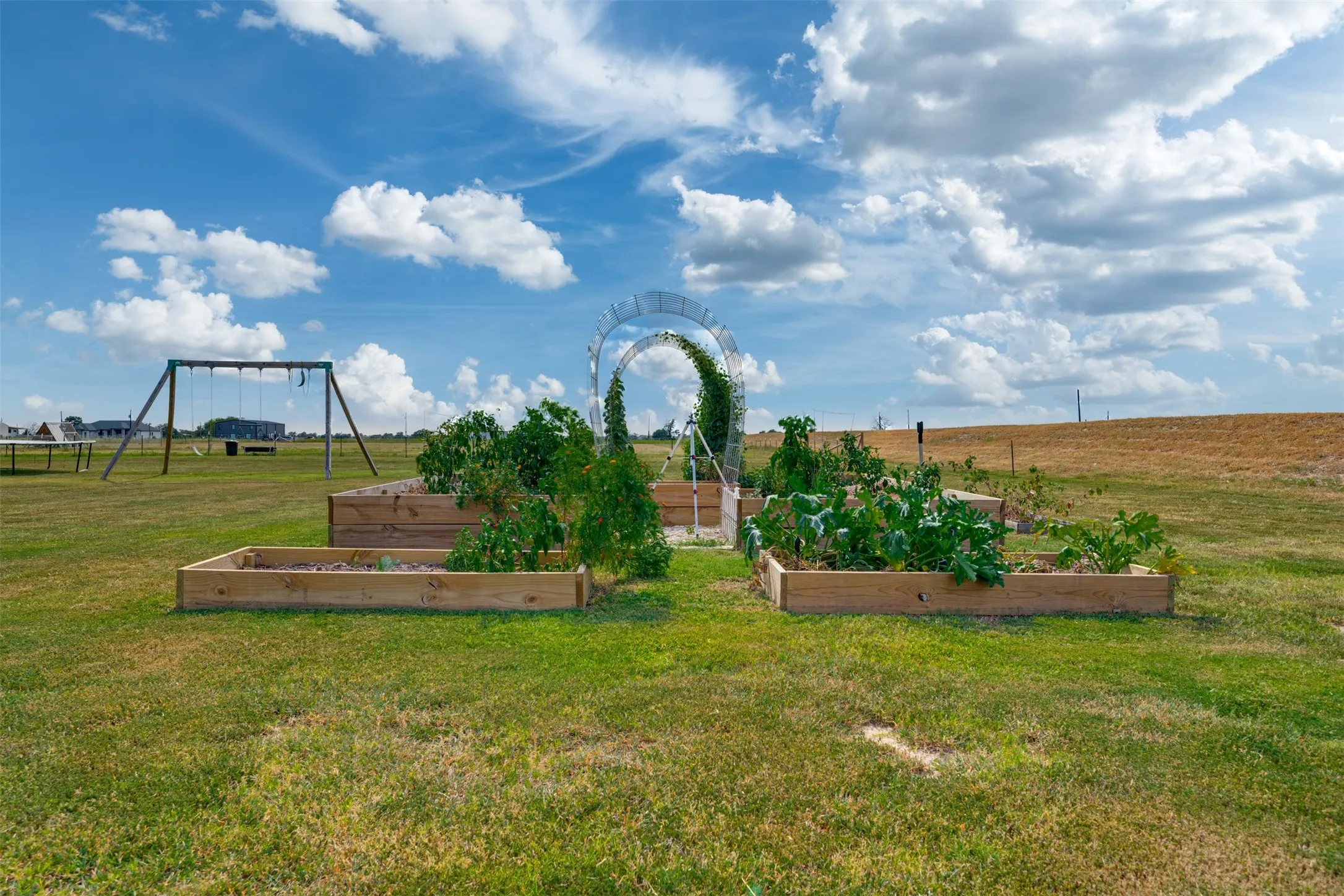 Yard