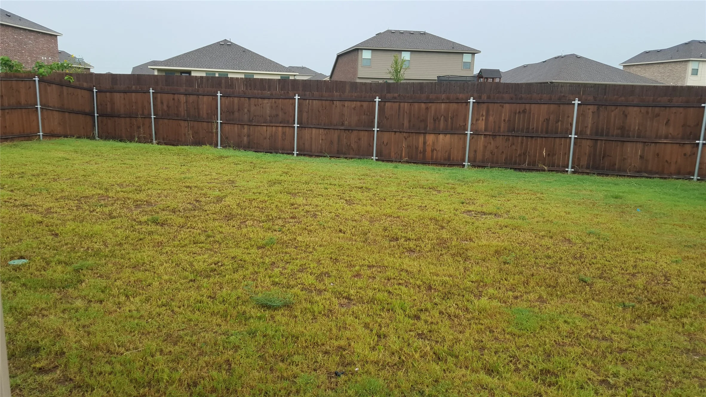 Single Family Residence For Rent in Collin County , 319 Elam Drive, Anna, Texas 75409, 4 Bedroom, 2 Bathroom, 2 Garage spaces, 1,645 Sqft, built in 2014, mls#21354819, Real Estate Agent in Anna, Homes For Rent in Collin county, Homes For Rent in Anna, Realtor in Anna Texas, Real Estate Brokerage Independent Realty Texas, Luminita Cordes Realtor