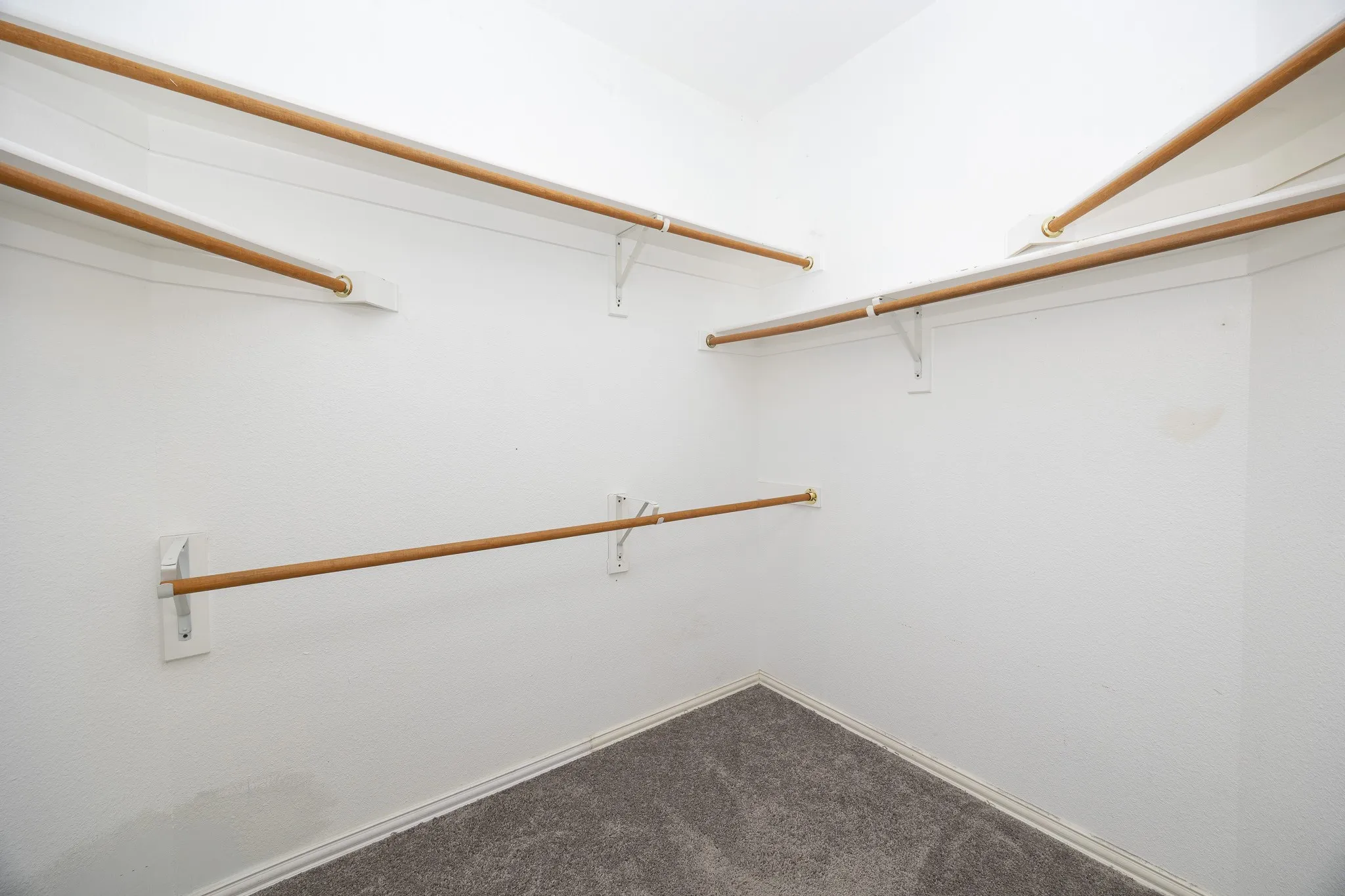 Walk-in closet featuring white walls, multi-level hanging rods, and gray carpet flooring