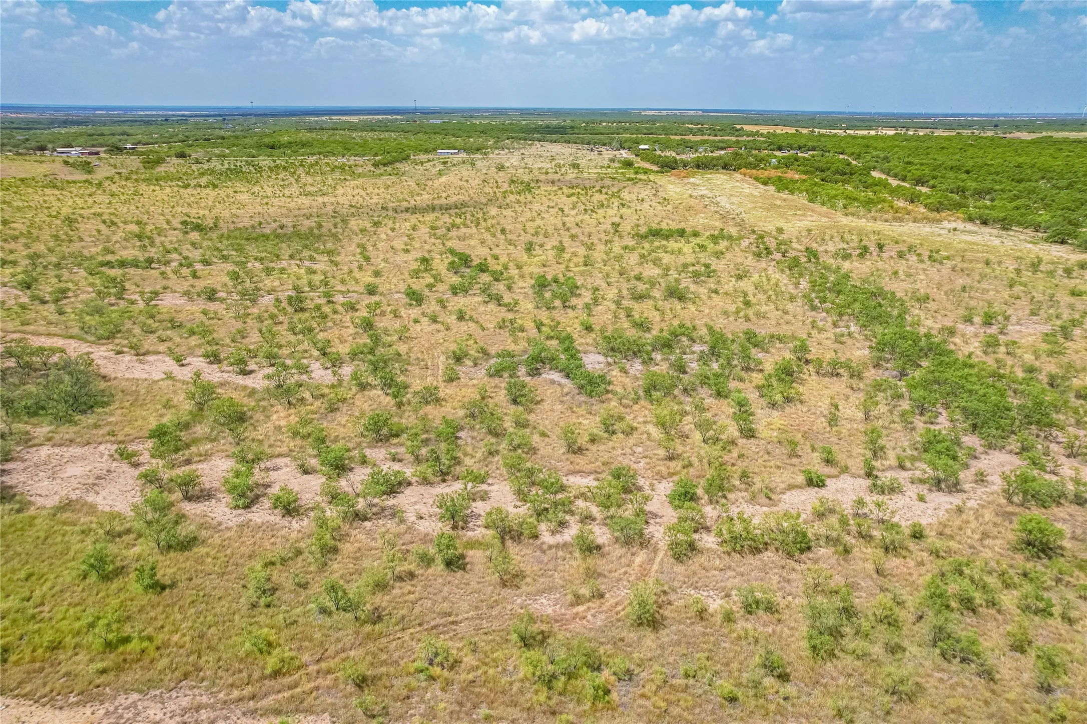 Unimproved Land For Sale in Callahan County , TBD County Road 150, Abilene, Texas 79601, 0, 0, Garage spaces, 0 Sqft, built in 0, Price $190,000, mls#21354837, Real Estate Agent in Abilene, Homes For Sale in Callahan county, Homes For Sale in Abilene, Realtor in Abilene Texas, Real Estate Brokerage Independent Realty Texas, Luminita Cordes Realtor