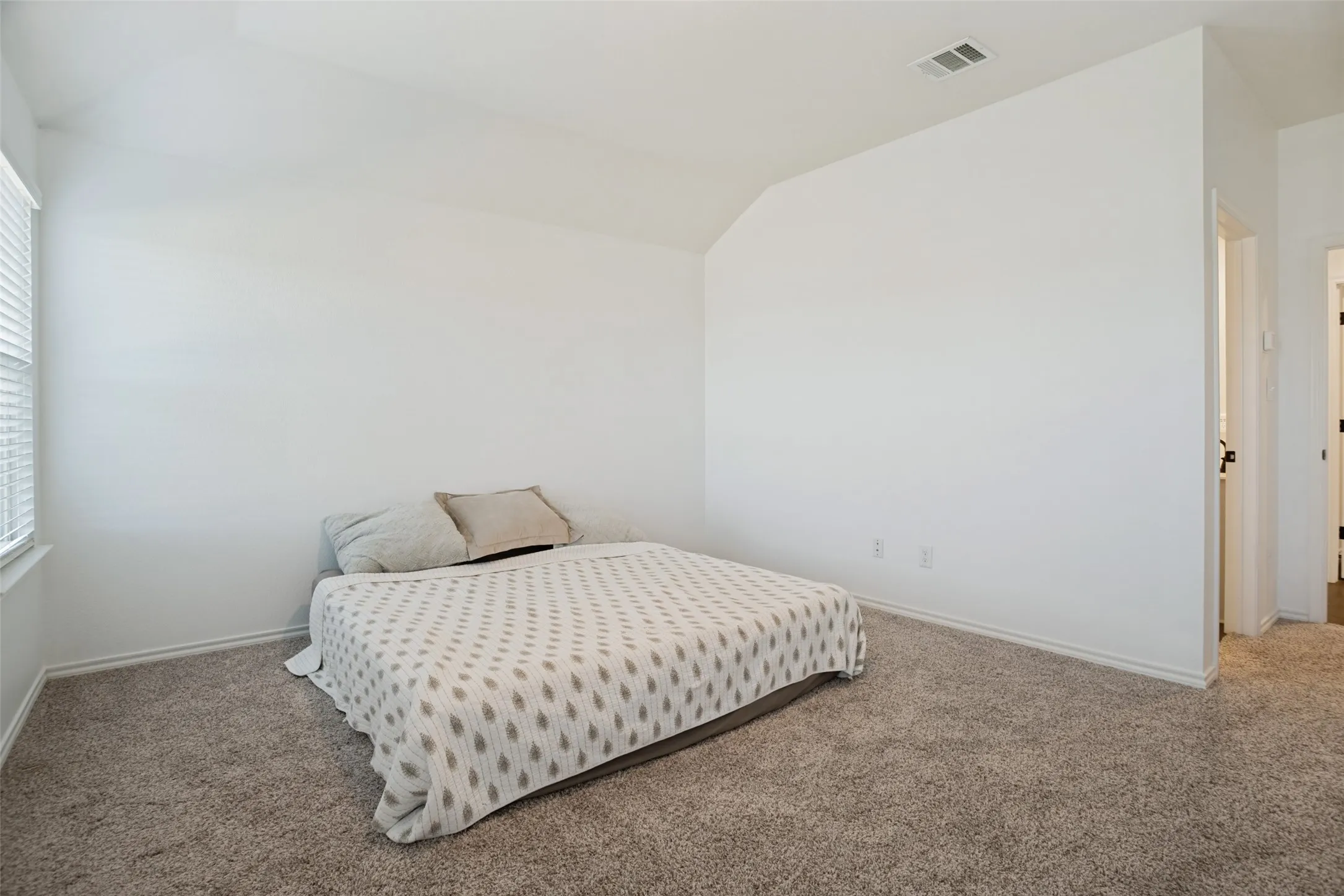 Wall-to-wall carpeted flooring with light-toned walls and a window with horizontal blinds
