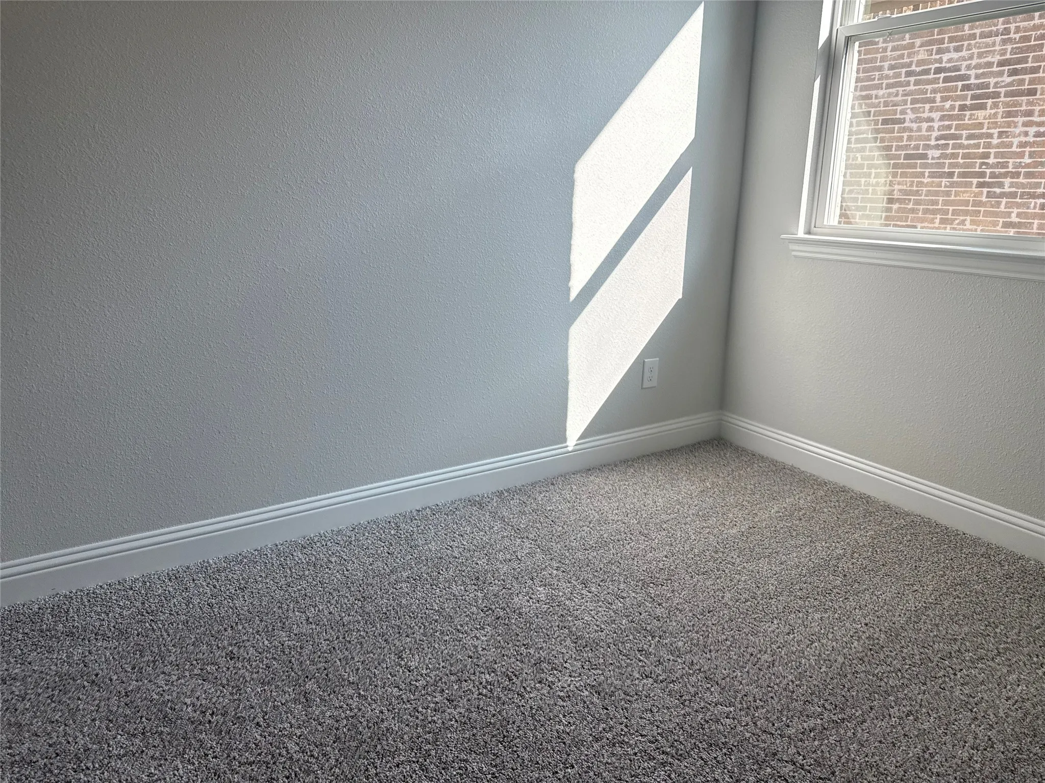 Textured light gray walls, gray carpeting, and white trim
