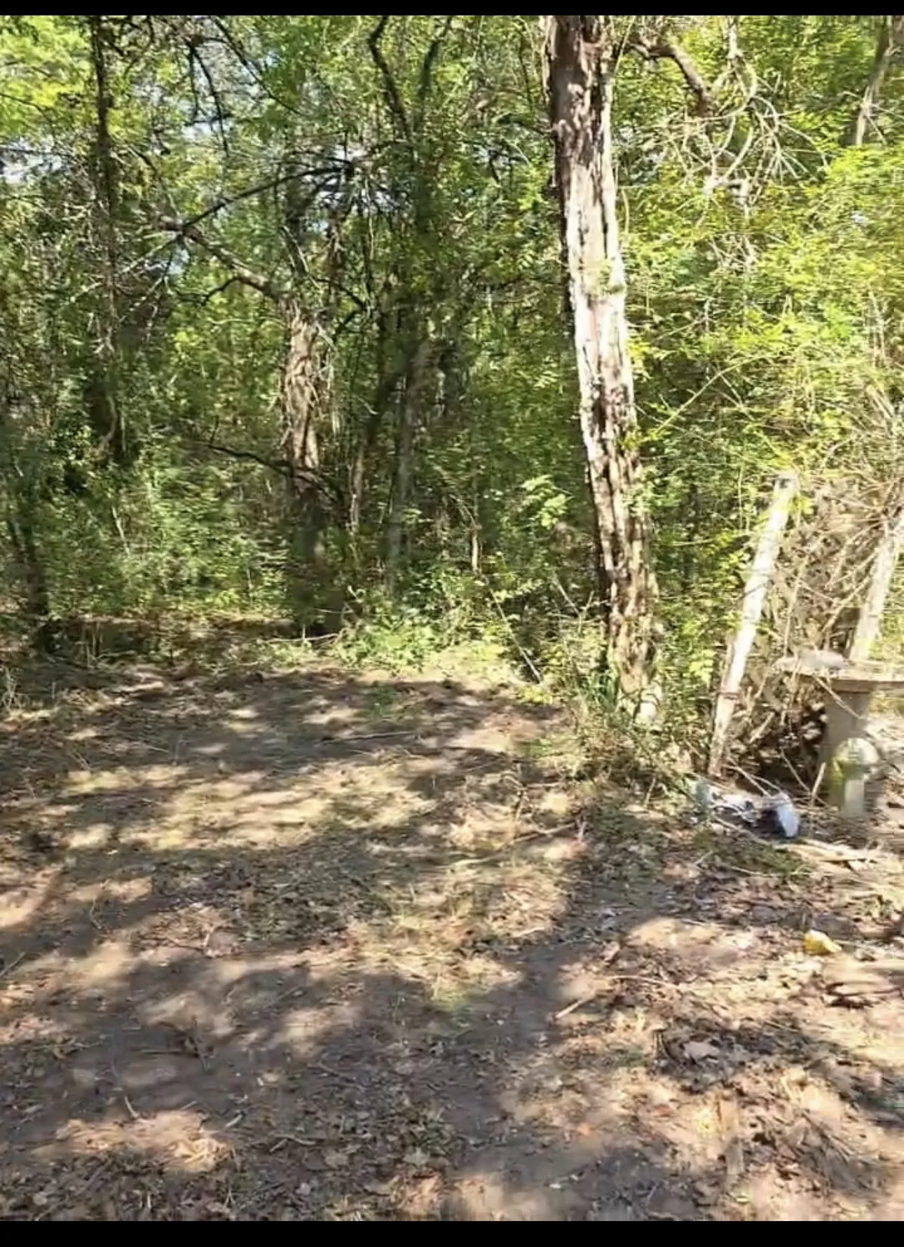 Improved Land For Sale in Johnson County , 6316 Angel Drive, Burleson, Texas 76028, 0, 0, Garage spaces, 0 Sqft, built in 1975, Price $159,000, mls#21354881, Real Estate Agent in Burleson, Homes For Sale in Johnson county, Homes For Sale in Burleson, Realtor in Burleson Texas, Real Estate Brokerage Independent Realty Texas, Luminita Cordes Realtor