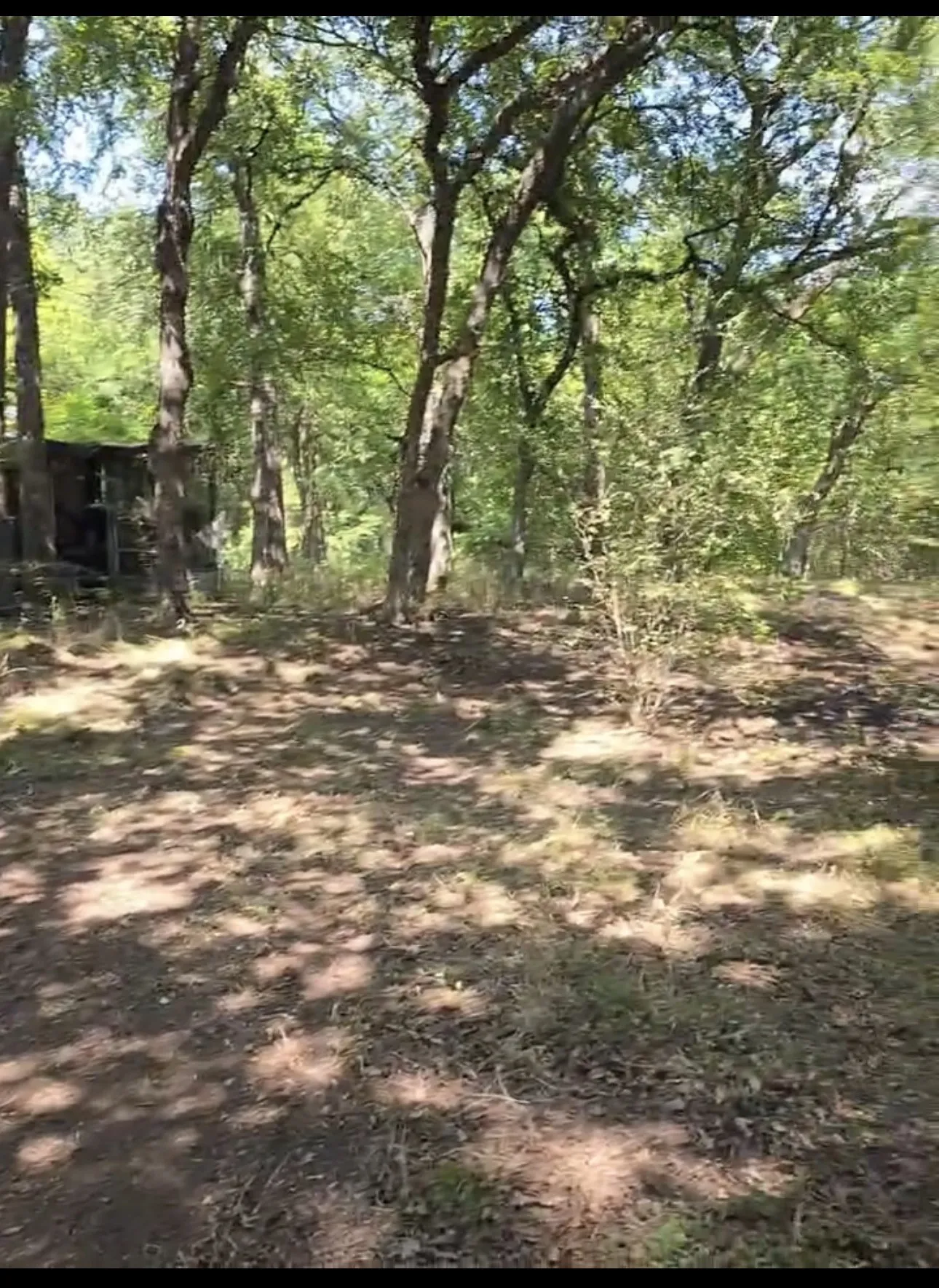 Improved Land For Sale in Johnson County , 6316 Angel Drive, Burleson, Texas 76028, 0, 0, Garage spaces, 0 Sqft, built in 1975, Price $159,000, mls#21354881, Real Estate Agent in Burleson, Homes For Sale in Johnson county, Homes For Sale in Burleson, Realtor in Burleson Texas, Real Estate Brokerage Independent Realty Texas, Luminita Cordes Realtor
