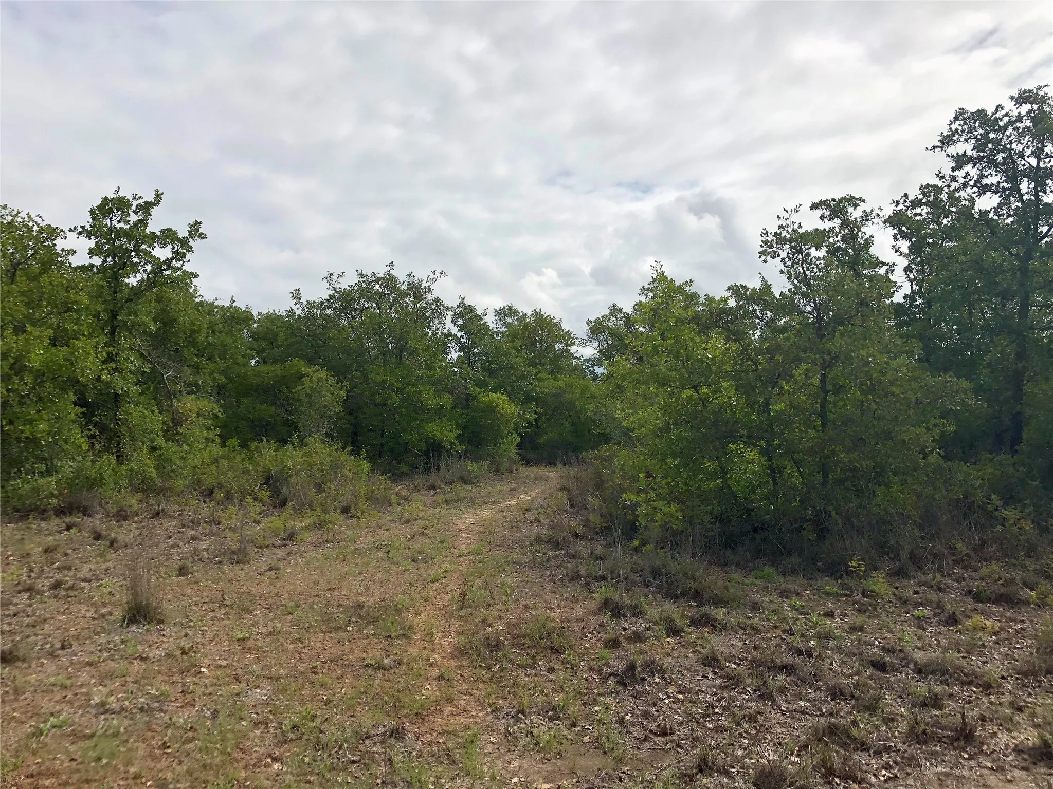Improved Land For Sale in Eastland County , 5851 Highway 569, Cisco, Texas 76437, 0, 0, Garage spaces, 0 Sqft, built in 1997, Price $795,000, mls#21354884, Real Estate Agent in Cisco, Homes For Sale in Eastland county, Homes For Sale in Cisco, Realtor in Cisco Texas, Real Estate Brokerage Independent Realty Texas, Luminita Cordes Realtor