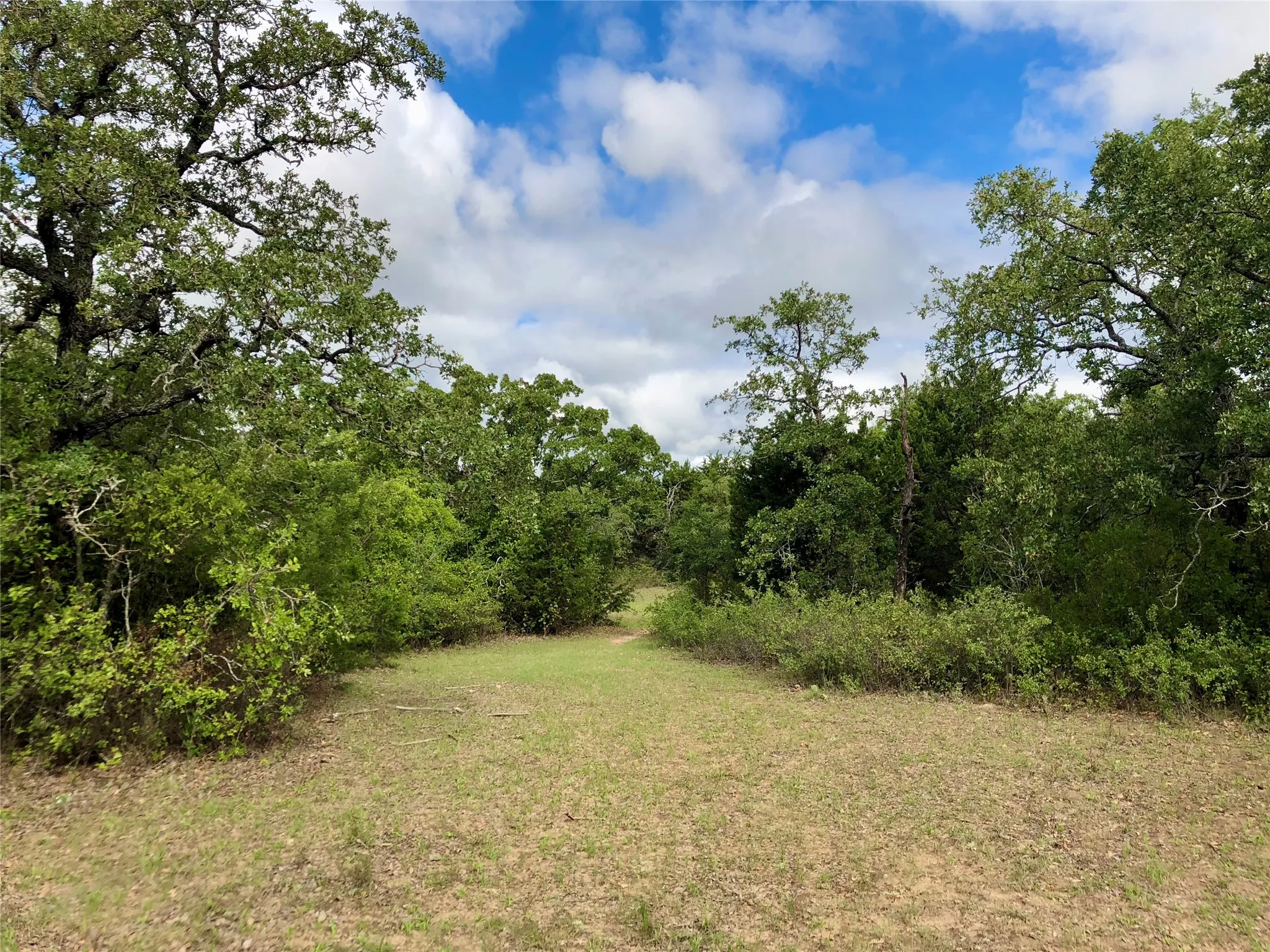 Improved Land For Sale in Eastland County , 5851 Highway 569, Cisco, Texas 76437, 0, 0, Garage spaces, 0 Sqft, built in 1997, Price $795,000, mls#21354884, Real Estate Agent in Cisco, Homes For Sale in Eastland county, Homes For Sale in Cisco, Realtor in Cisco Texas, Real Estate Brokerage Independent Realty Texas, Luminita Cordes Realtor