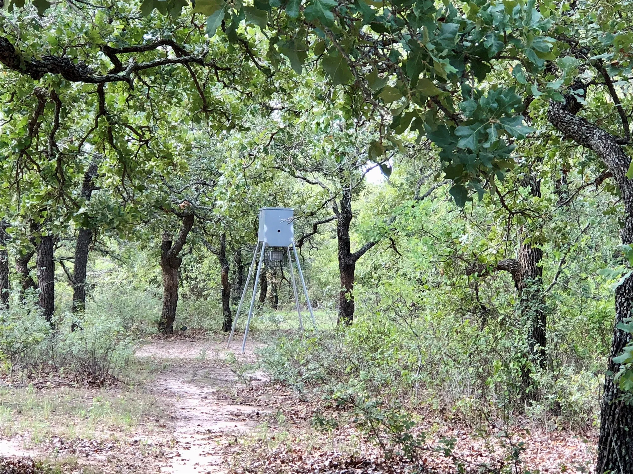 Improved Land For Sale in Eastland County , 5851 Highway 569, Cisco, Texas 76437, 0, 0, Garage spaces, 0 Sqft, built in 1997, Price $795,000, mls#21354884, Real Estate Agent in Cisco, Homes For Sale in Eastland county, Homes For Sale in Cisco, Realtor in Cisco Texas, Real Estate Brokerage Independent Realty Texas, Luminita Cordes Realtor