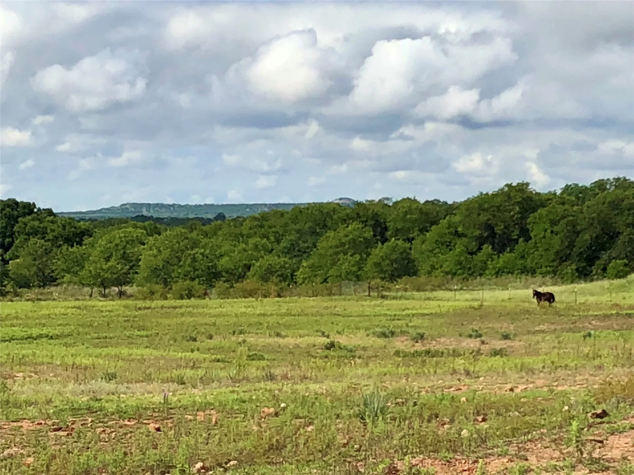 Improved Land For Sale in Eastland County , 5851 Highway 569, Cisco, Texas 76437, 0, 0, Garage spaces, 0 Sqft, built in 1997, Price $795,000, mls#21354884, Real Estate Agent in Cisco, Homes For Sale in Eastland county, Homes For Sale in Cisco, Realtor in Cisco Texas, Real Estate Brokerage Independent Realty Texas, Luminita Cordes Realtor