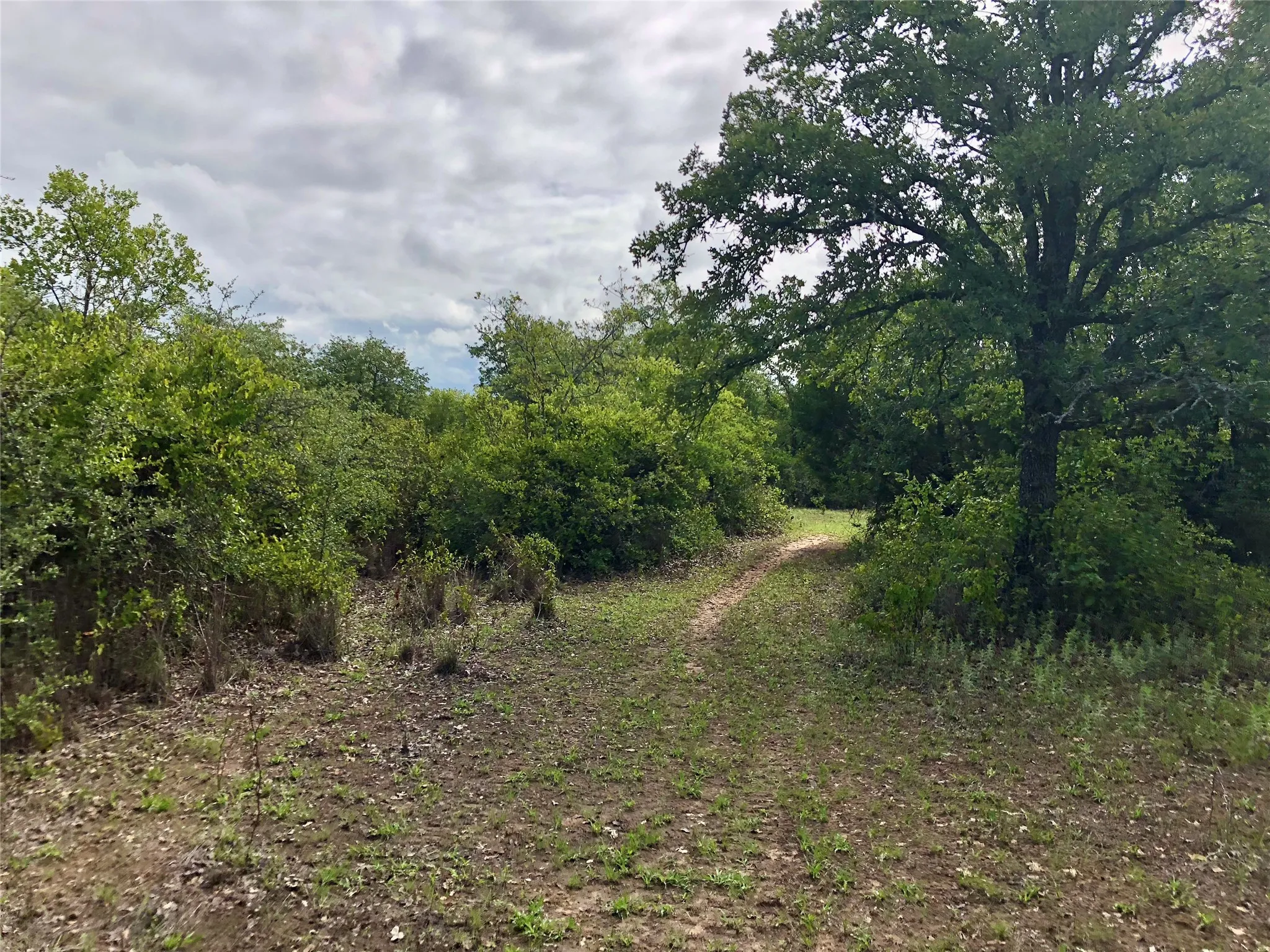 Improved Land For Sale in Eastland County , 5851 Highway 569, Cisco, Texas 76437, 0, 0, Garage spaces, 0 Sqft, built in 1997, Price $795,000, mls#21354884, Real Estate Agent in Cisco, Homes For Sale in Eastland county, Homes For Sale in Cisco, Realtor in Cisco Texas, Real Estate Brokerage Independent Realty Texas, Luminita Cordes Realtor