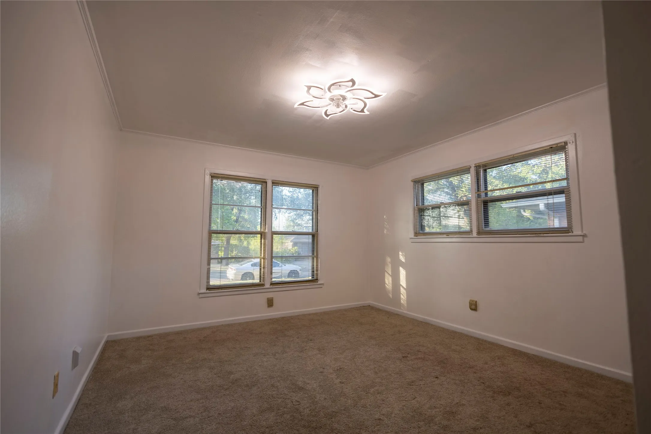 Carpeted room featuring multiple windows, crown molding, and a decorative ceiling light​​‌​​​​‌​​‌‌​‌‌​​​‌‌​‌​‌​‌​​​‌​​ fixture