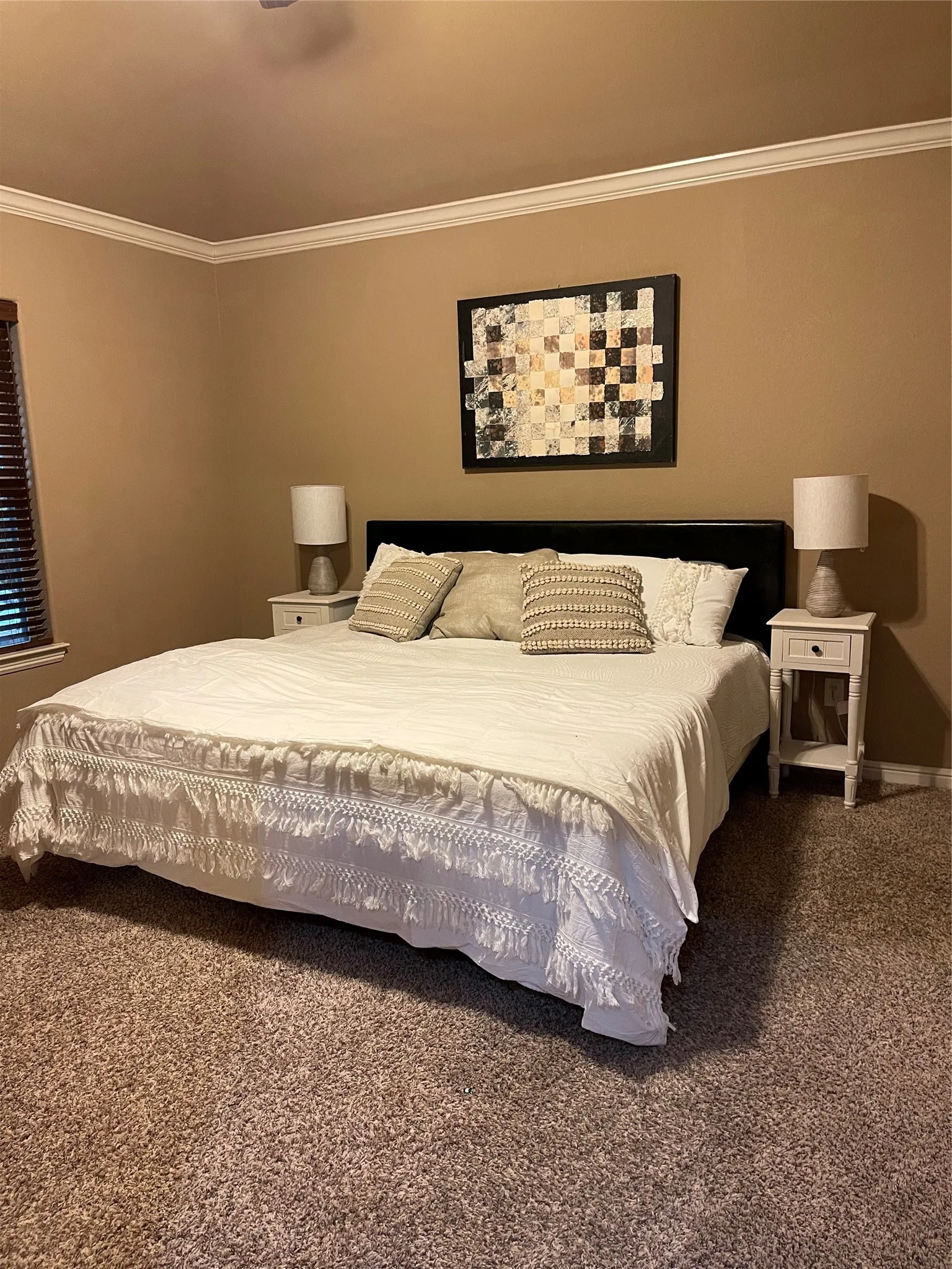 Plush carpet flooring, crown molding, and a ceiling fan