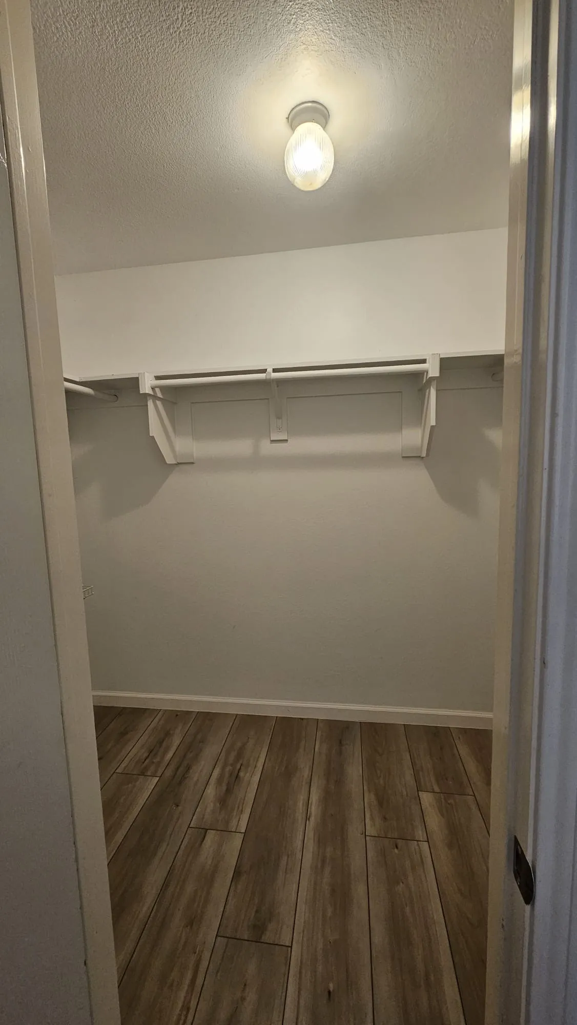 Closet space featuring wood-finish flooring, white walls, and a ceiling-mounted light fixture