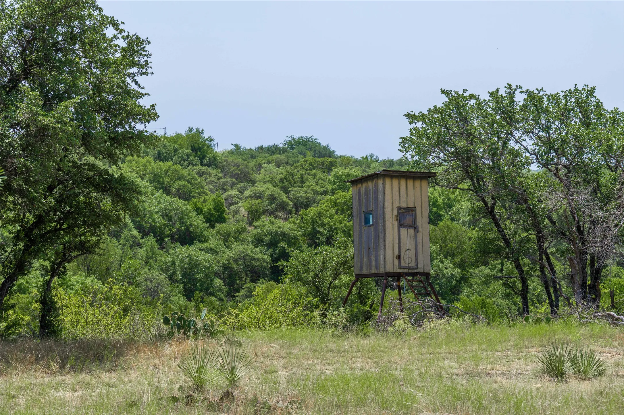 Ranch For Sale in Coleman County , TBD Paisano Road, Coleman, Texas 76834, 0, 0, Garage spaces, 0 Sqft, built in 1990, mls#21352730, Real Estate Agent in Coleman, Homes For Sale in Coleman county, Homes For Sale in Coleman, Realtor in Coleman Texas, Real Estate Brokerage Independent Realty Texas, Luminita Cordes Realtor