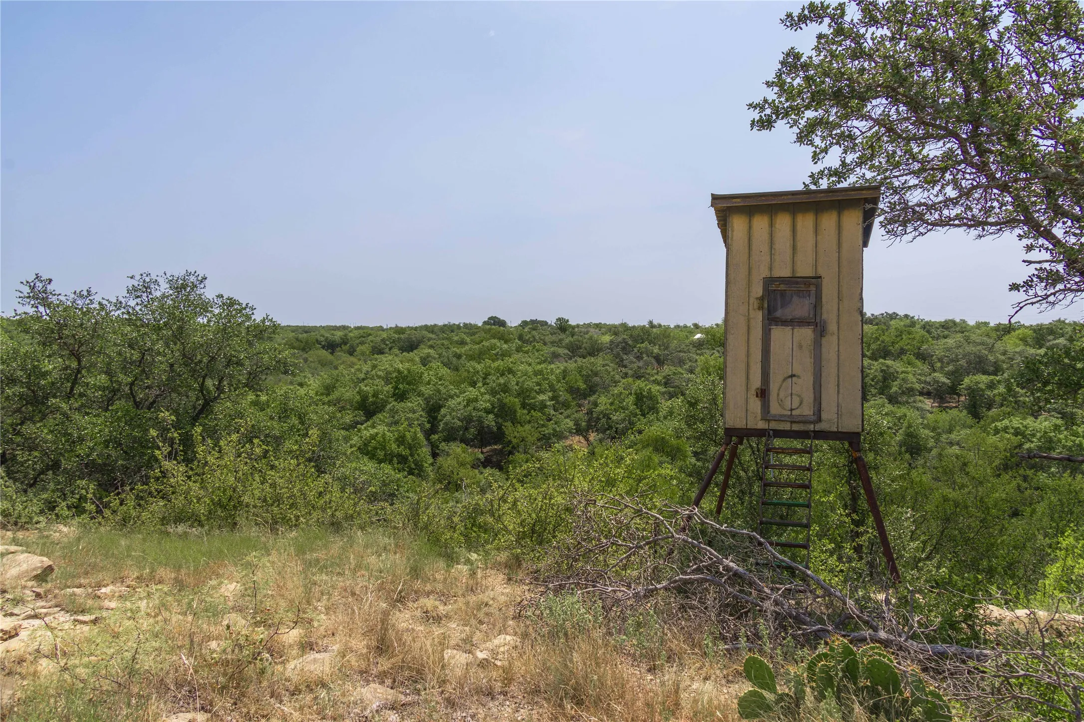 Ranch For Sale in Coleman County , TBD Paisano Road, Coleman, Texas 76834, 0, 0, Garage spaces, 0 Sqft, built in 1990, mls#21352730, Real Estate Agent in Coleman, Homes For Sale in Coleman county, Homes For Sale in Coleman, Realtor in Coleman Texas, Real Estate Brokerage Independent Realty Texas, Luminita Cordes Realtor