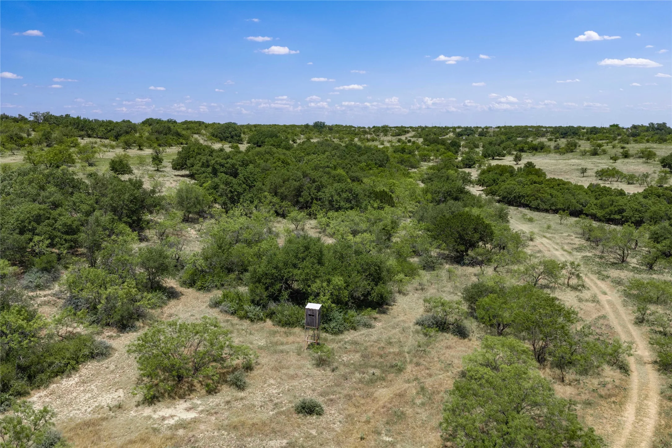 Ranch For Sale in Coleman County , TBD Paisano Road, Coleman, Texas 76834, 0, 0, Garage spaces, 0 Sqft, built in 1990, mls#21352730, Real Estate Agent in Coleman, Homes For Sale in Coleman county, Homes For Sale in Coleman, Realtor in Coleman Texas, Real Estate Brokerage Independent Realty Texas, Luminita Cordes Realtor