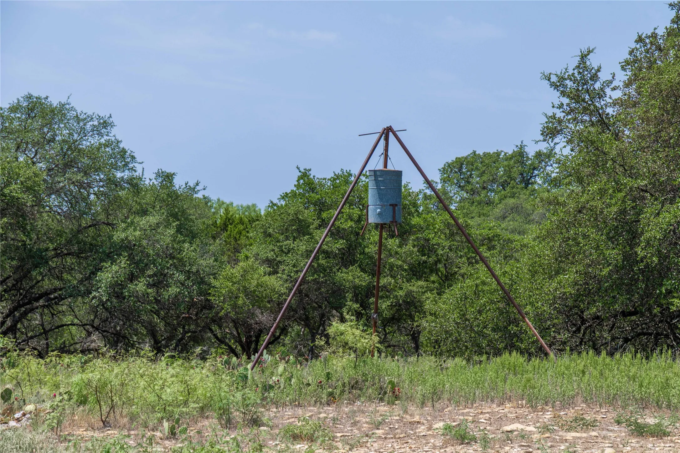 Ranch For Sale in Coleman County , TBD Paisano Road, Coleman, Texas 76834, 0, 0, Garage spaces, 0 Sqft, built in 1990, mls#21352730, Real Estate Agent in Coleman, Homes For Sale in Coleman county, Homes For Sale in Coleman, Realtor in Coleman Texas, Real Estate Brokerage Independent Realty Texas, Luminita Cordes Realtor