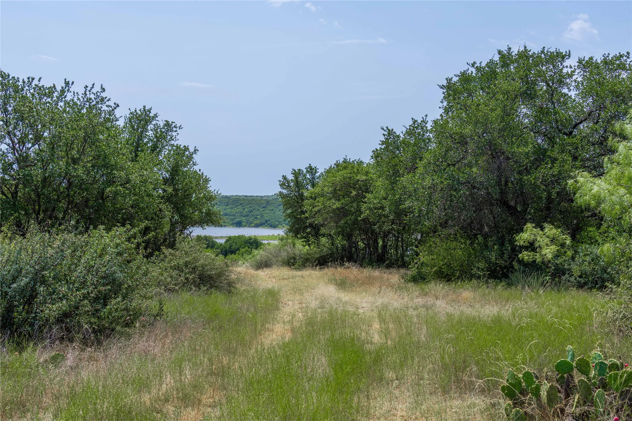 Ranch For Sale in Coleman County , TBD Paisano Road, Coleman, Texas 76834, 0, 0, Garage spaces, 0 Sqft, built in 1990, mls#21352730, Real Estate Agent in Coleman, Homes For Sale in Coleman county, Homes For Sale in Coleman, Realtor in Coleman Texas, Real Estate Brokerage Independent Realty Texas, Luminita Cordes Realtor