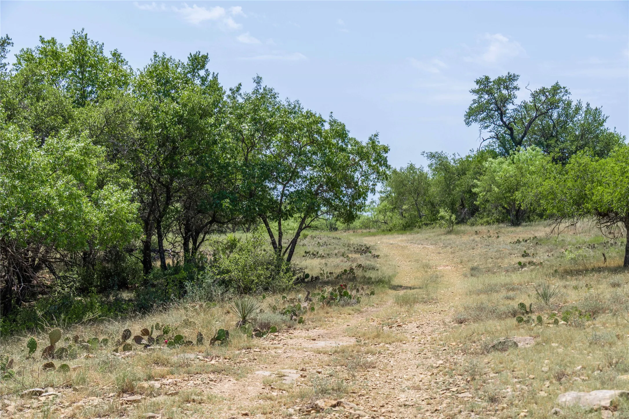 Ranch For Sale in Coleman County , TBD Paisano Road, Coleman, Texas 76834, 0, 0, Garage spaces, 0 Sqft, built in 1990, mls#21352730, Real Estate Agent in Coleman, Homes For Sale in Coleman county, Homes For Sale in Coleman, Realtor in Coleman Texas, Real Estate Brokerage Independent Realty Texas, Luminita Cordes Realtor