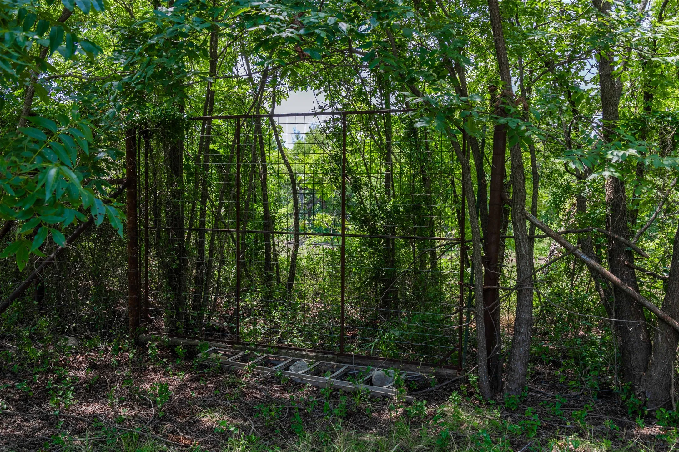 Ranch For Sale in Coleman County , TBD Paisano Road, Coleman, Texas 76834, 0, 0, Garage spaces, 0 Sqft, built in 1990, mls#21352730, Real Estate Agent in Coleman, Homes For Sale in Coleman county, Homes For Sale in Coleman, Realtor in Coleman Texas, Real Estate Brokerage Independent Realty Texas, Luminita Cordes Realtor