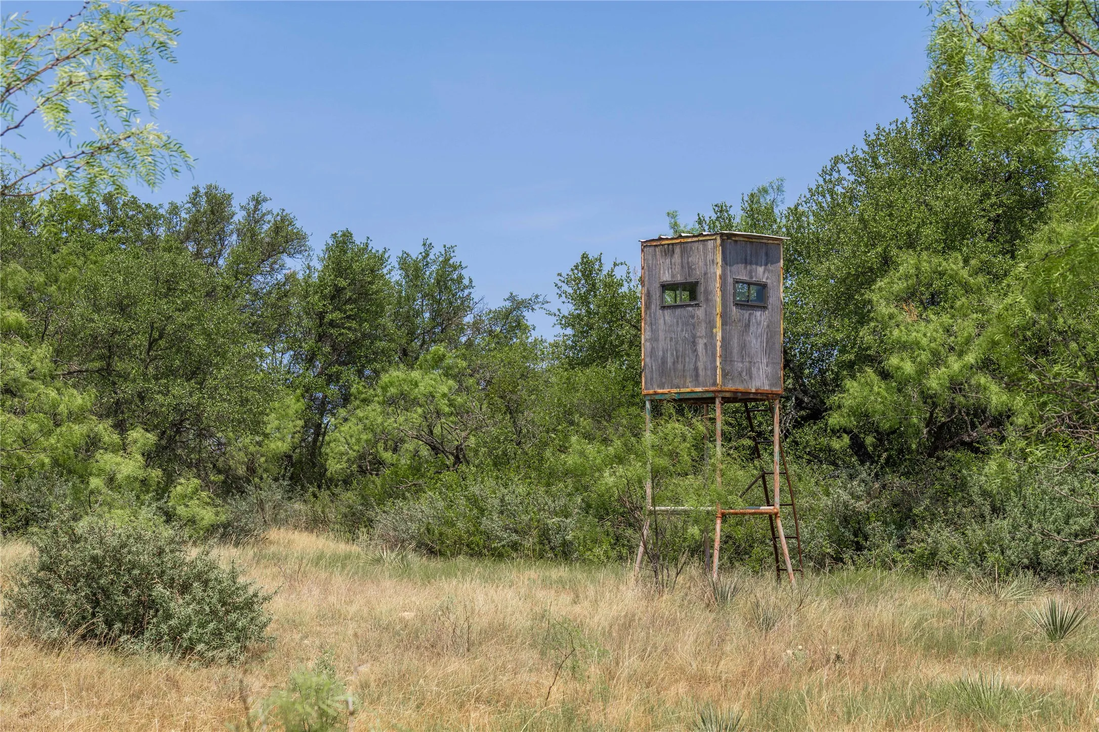 Ranch For Sale in Coleman County , TBD Paisano Road, Coleman, Texas 76834, 0, 0, Garage spaces, 0 Sqft, built in 1990, mls#21352730, Real Estate Agent in Coleman, Homes For Sale in Coleman county, Homes For Sale in Coleman, Realtor in Coleman Texas, Real Estate Brokerage Independent Realty Texas, Luminita Cordes Realtor
