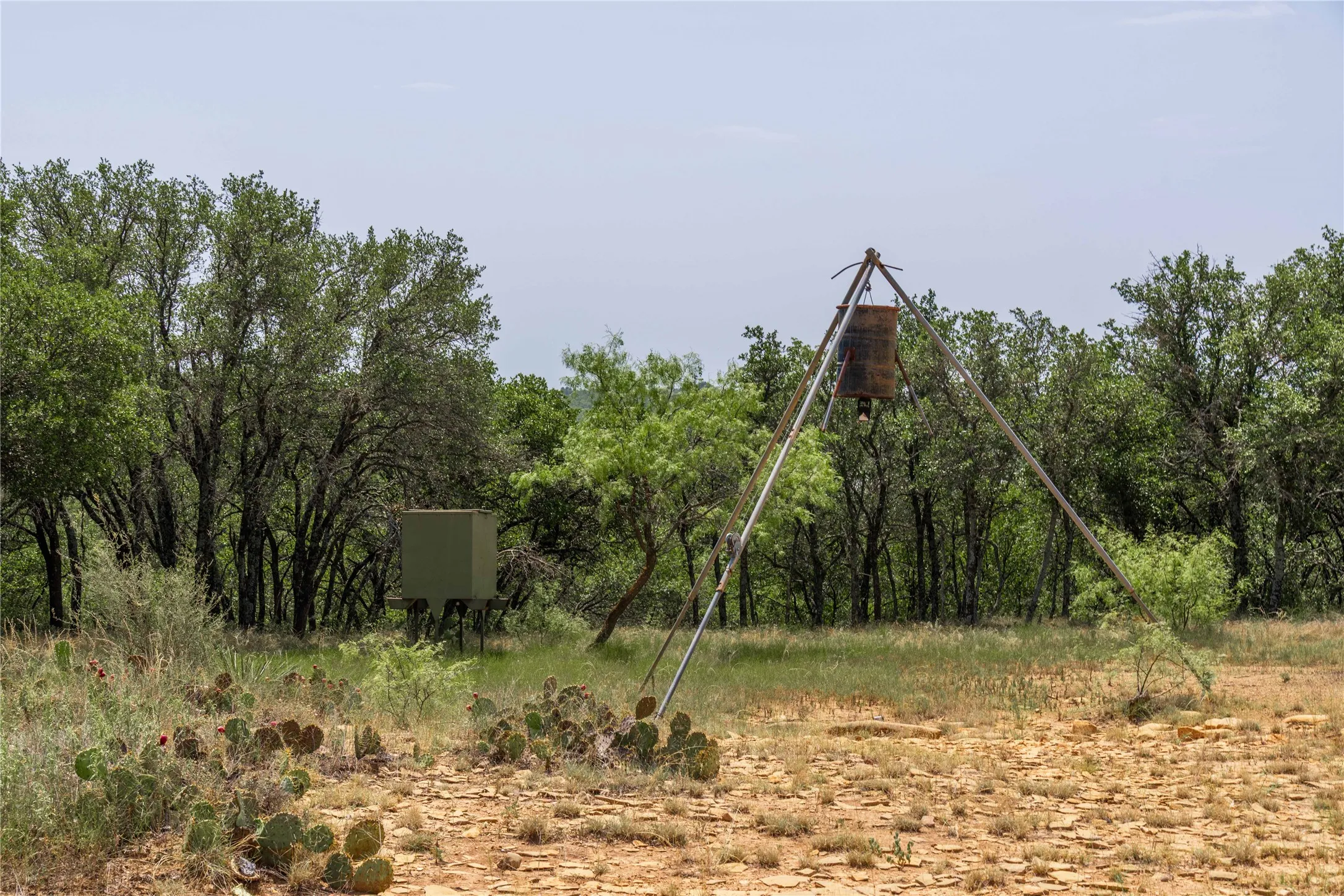 Ranch For Sale in Coleman County , TBD Paisano Road, Coleman, Texas 76834, 0, 0, Garage spaces, 0 Sqft, built in 1990, mls#21352730, Real Estate Agent in Coleman, Homes For Sale in Coleman county, Homes For Sale in Coleman, Realtor in Coleman Texas, Real Estate Brokerage Independent Realty Texas, Luminita Cordes Realtor