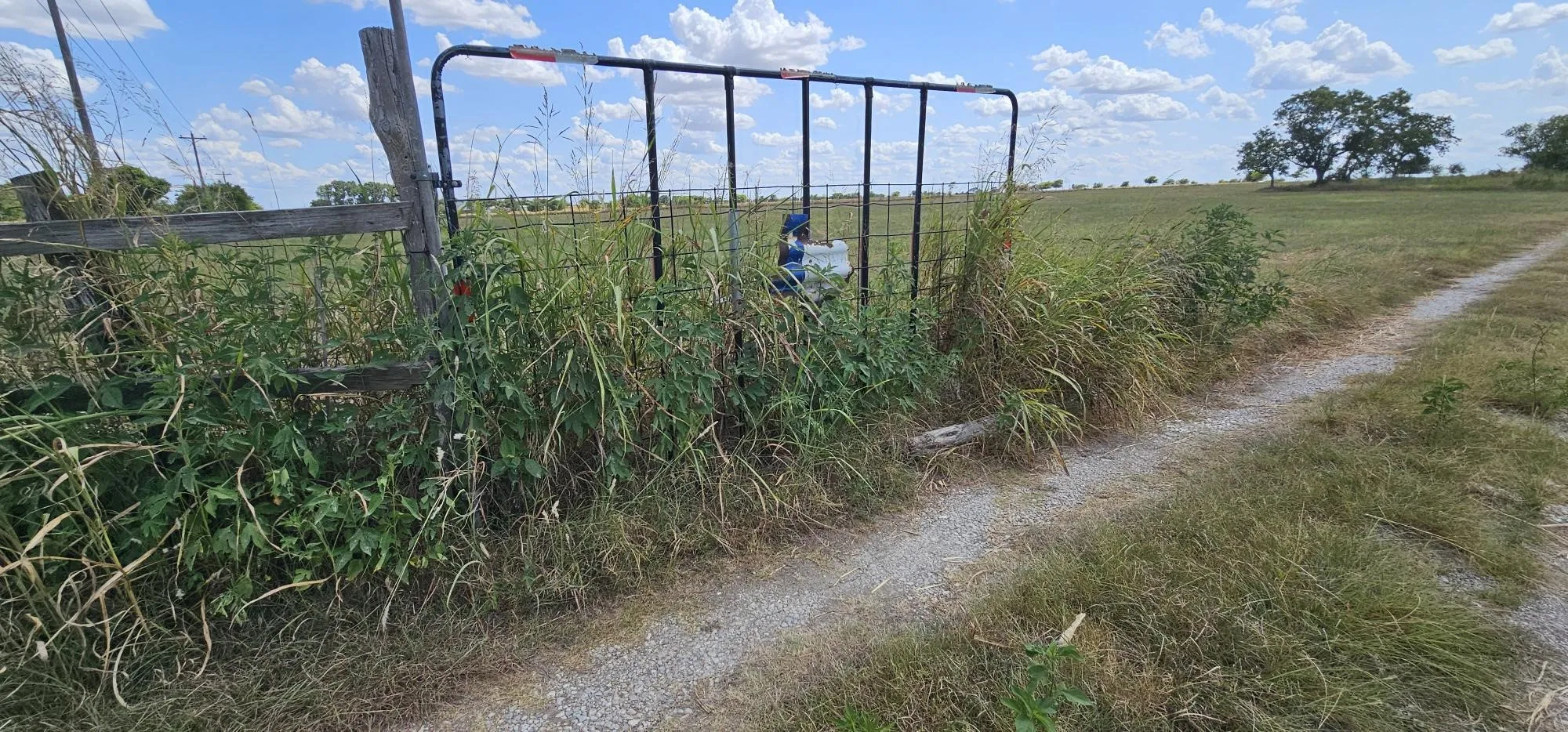 Unimproved Land For Sale in Hill County , 553 Hcr 3110 N, Abbott, Texas 76621, 0, 0, Garage spaces, 0 Sqft, built in 0, Price $350,000, mls#21354996, Real Estate Agent in Abbott, Homes For Sale in Hill county, Homes For Sale in Abbott, Realtor in Abbott Texas, Real Estate Brokerage Independent Realty Texas, Luminita Cordes Realtor