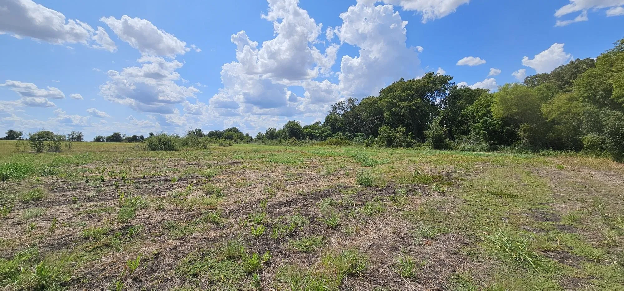Unimproved Land For Sale in Hill County , 553 Hcr 3110 N, Abbott, Texas 76621, 0, 0, Garage spaces, 0 Sqft, built in 0, Price $350,000, mls#21354996, Real Estate Agent in Abbott, Homes For Sale in Hill county, Homes For Sale in Abbott, Realtor in Abbott Texas, Real Estate Brokerage Independent Realty Texas, Luminita Cordes Realtor