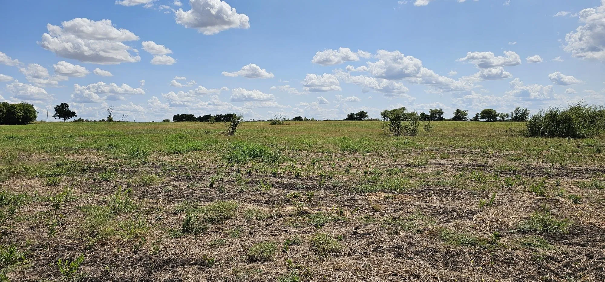 Unimproved Land For Sale in Hill County , 553 Hcr 3110 N, Abbott, Texas 76621, 0, 0, Garage spaces, 0 Sqft, built in 0, Price $350,000, mls#21354996, Real Estate Agent in Abbott, Homes For Sale in Hill county, Homes For Sale in Abbott, Realtor in Abbott Texas, Real Estate Brokerage Independent Realty Texas, Luminita Cordes Realtor