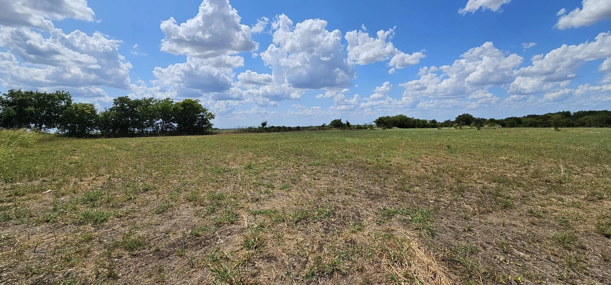 Unimproved Land For Sale in Hill County , 553 Hcr 3110 N, Abbott, Texas 76621, 0, 0, Garage spaces, 0 Sqft, built in 0, Price $350,000, mls#21354996, Real Estate Agent in Abbott, Homes For Sale in Hill county, Homes For Sale in Abbott, Realtor in Abbott Texas, Real Estate Brokerage Independent Realty Texas, Luminita Cordes Realtor