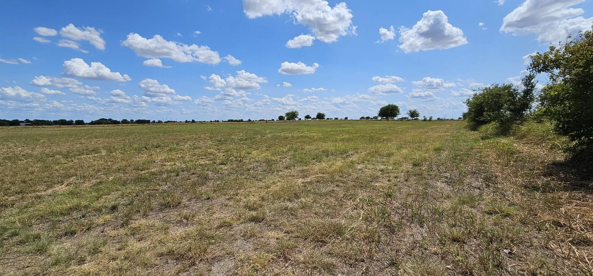 Unimproved Land For Sale in Hill County , 553 Hcr 3110 N, Abbott, Texas 76621, 0, 0, Garage spaces, 0 Sqft, built in 0, Price $350,000, mls#21354996, Real Estate Agent in Abbott, Homes For Sale in Hill county, Homes For Sale in Abbott, Realtor in Abbott Texas, Real Estate Brokerage Independent Realty Texas, Luminita Cordes Realtor