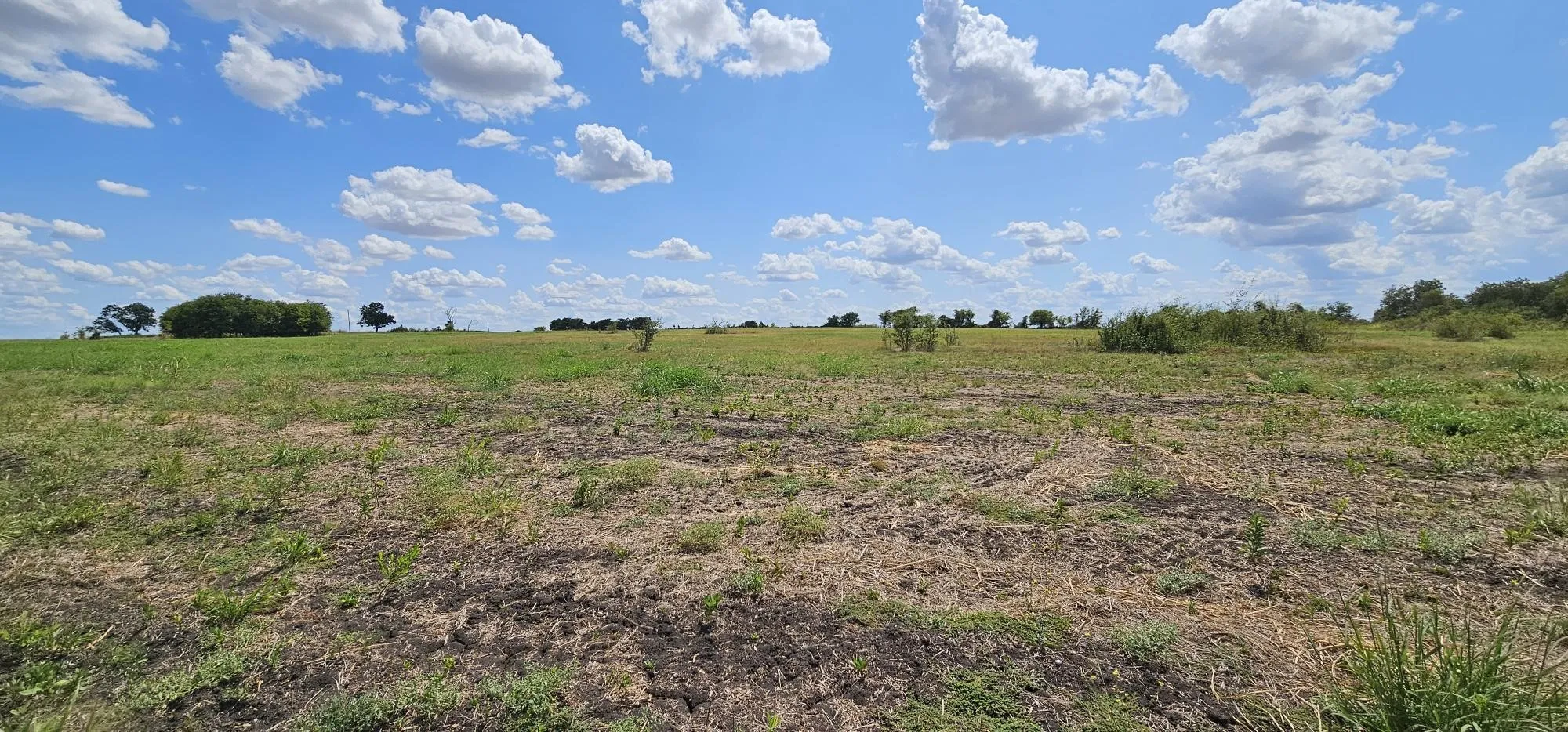 Unimproved Land For Sale in Hill County , 553 Hcr 3110 N, Abbott, Texas 76621, 0, 0, Garage spaces, 0 Sqft, built in 0, Price $350,000, mls#21354996, Real Estate Agent in Abbott, Homes For Sale in Hill county, Homes For Sale in Abbott, Realtor in Abbott Texas, Real Estate Brokerage Independent Realty Texas, Luminita Cordes Realtor