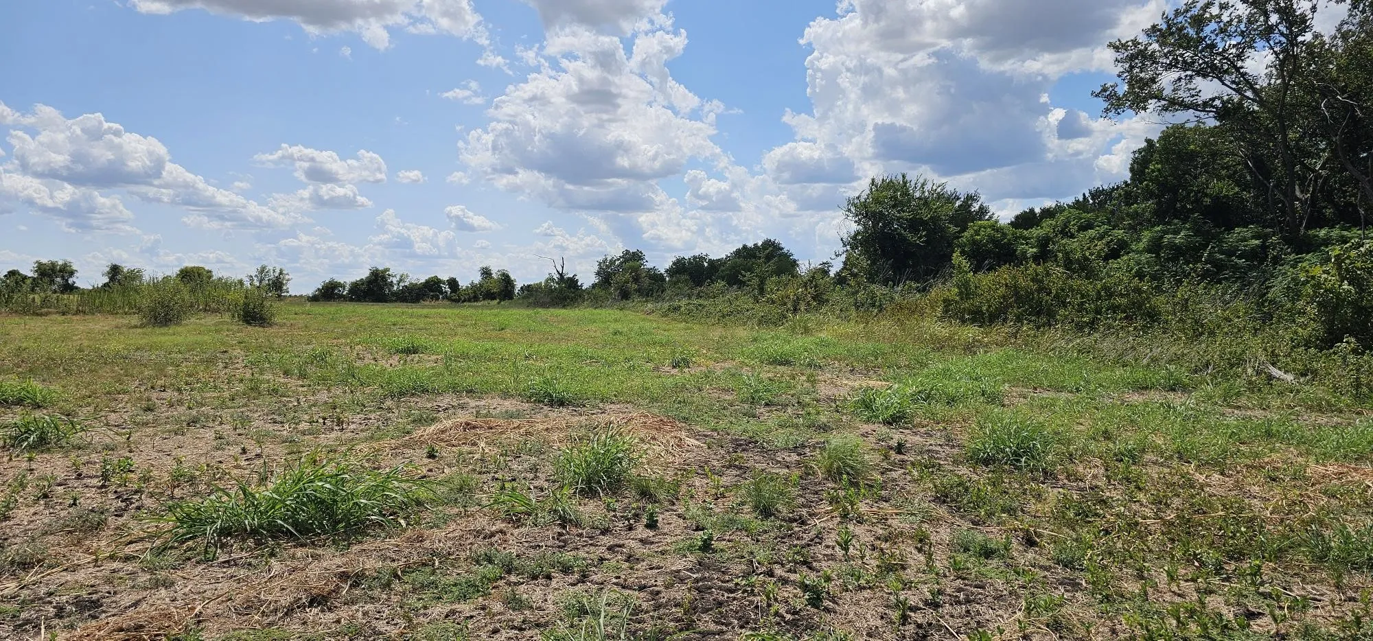 Unimproved Land For Sale in Hill County , 553 Hcr 3110 N, Abbott, Texas 76621, 0, 0, Garage spaces, 0 Sqft, built in 0, Price $350,000, mls#21354996, Real Estate Agent in Abbott, Homes For Sale in Hill county, Homes For Sale in Abbott, Realtor in Abbott Texas, Real Estate Brokerage Independent Realty Texas, Luminita Cordes Realtor