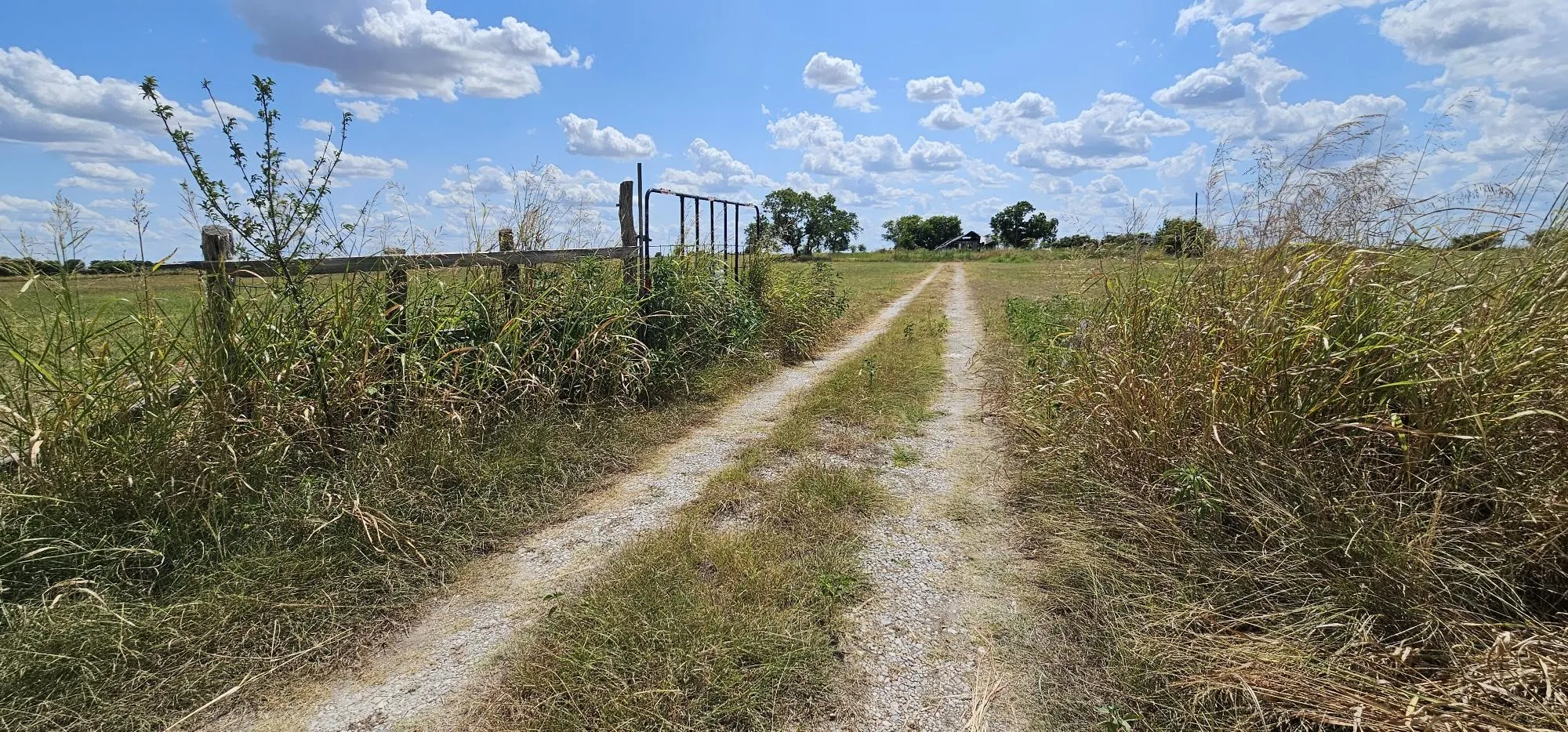 Unimproved Land For Sale in Hill County , 553 Hcr 3110 N, Abbott, Texas 76621, 0, 0, Garage spaces, 0 Sqft, built in 0, Price $350,000, mls#21354996, Real Estate Agent in Abbott, Homes For Sale in Hill county, Homes For Sale in Abbott, Realtor in Abbott Texas, Real Estate Brokerage Independent Realty Texas, Luminita Cordes Realtor