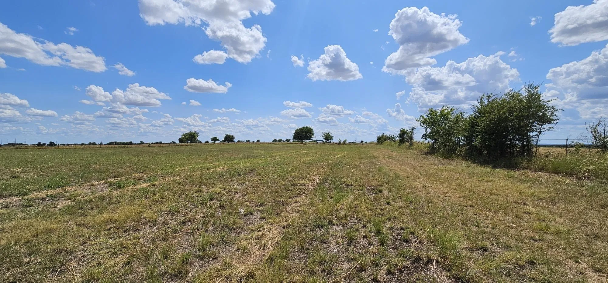 Unimproved Land For Sale in Hill County , 553 Hcr 3110 N, Abbott, Texas 76621, 0, 0, Garage spaces, 0 Sqft, built in 0, Price $350,000, mls#21354996, Real Estate Agent in Abbott, Homes For Sale in Hill county, Homes For Sale in Abbott, Realtor in Abbott Texas, Real Estate Brokerage Independent Realty Texas, Luminita Cordes Realtor
